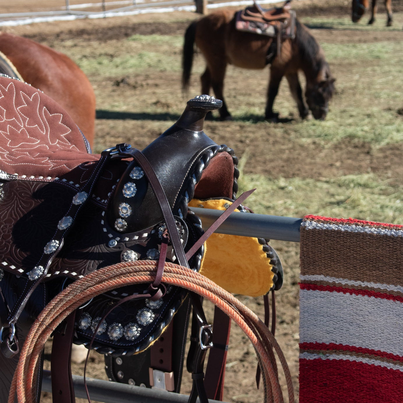 16 Inch Western Show Saddle Model No.1261 Made India