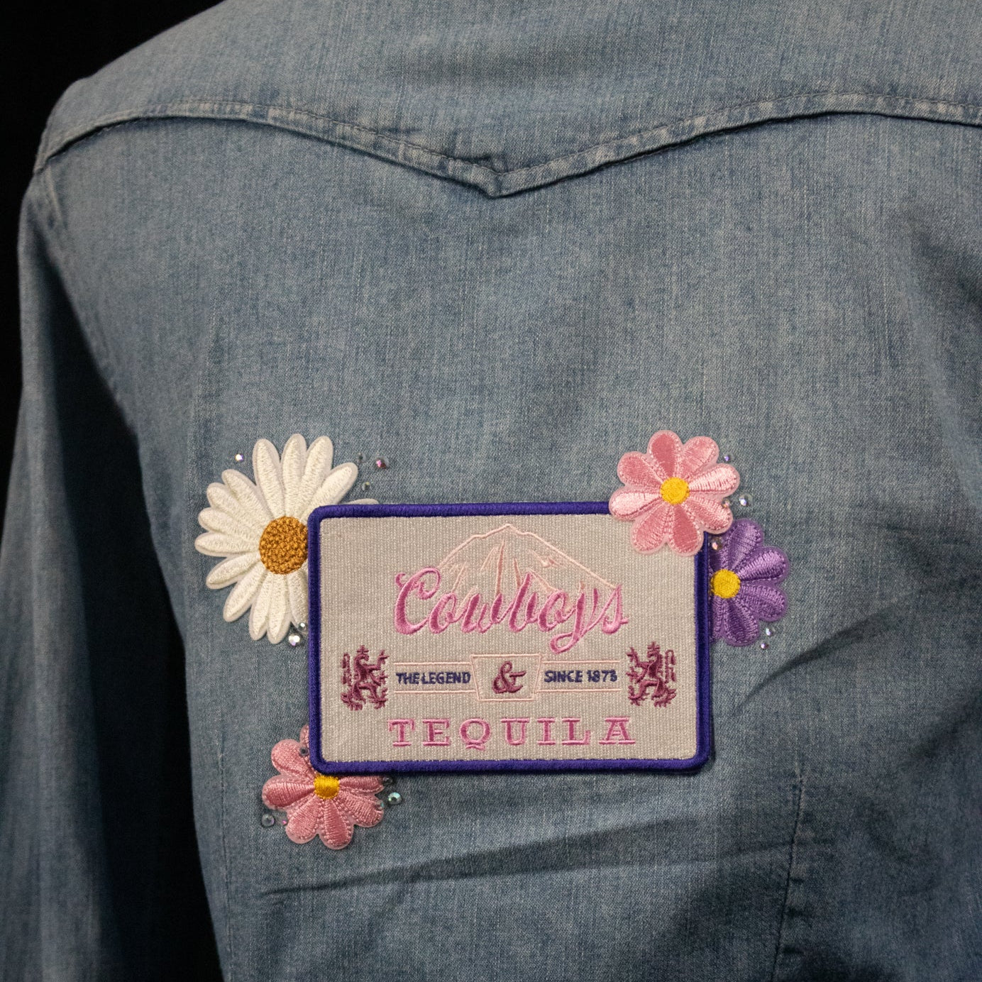 Western Distressed Denim White Pearly Buttons