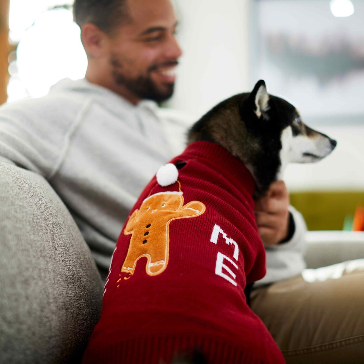 Frisco Bite Me Gingerbread Dog & Cat Christmas Sweater