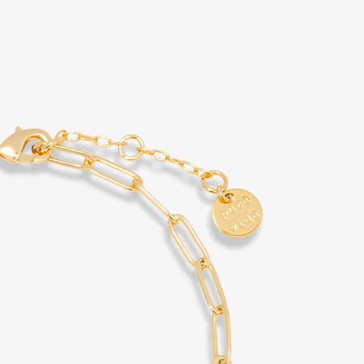 Pura Vida Harper Gold Paperclip Chain Bracelet