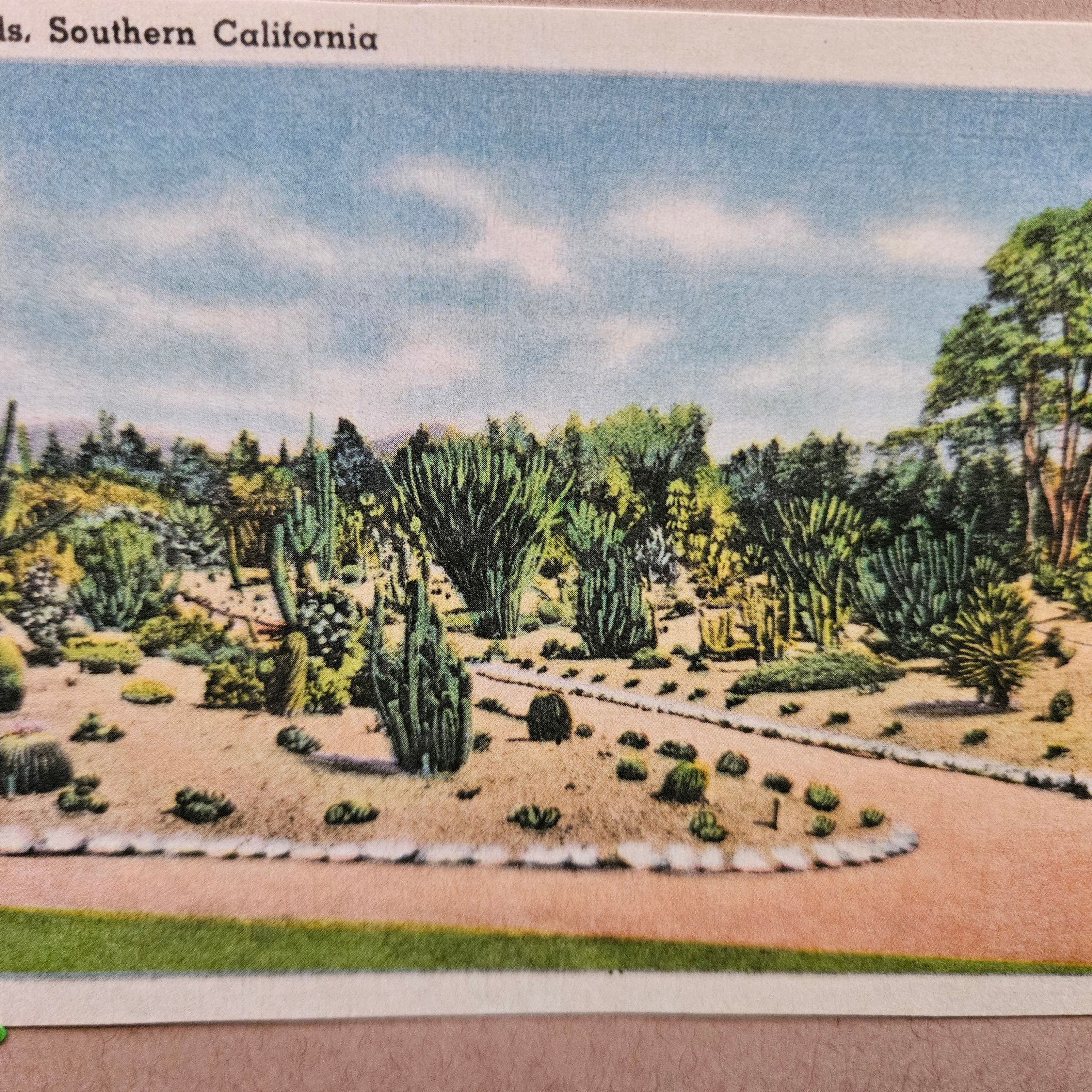 Beautifully Hand Crafted Custom Created Greeting Card Series by Diane Stegman "Cactus Beds, Southern California"