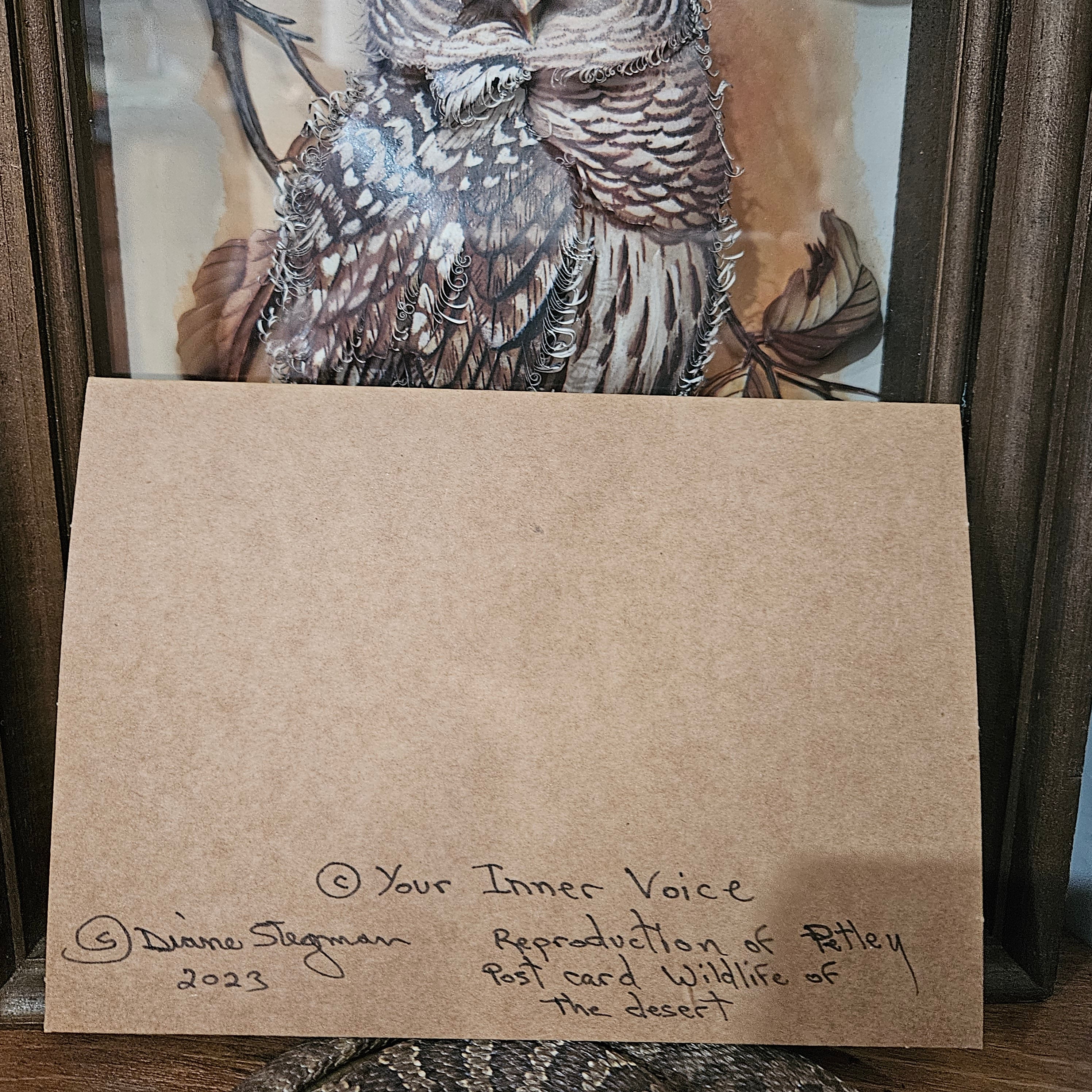 Beautifully Hand Crafted Custom Created Greeting Card Series by Diane Stegman "Wildlife of the Desert"