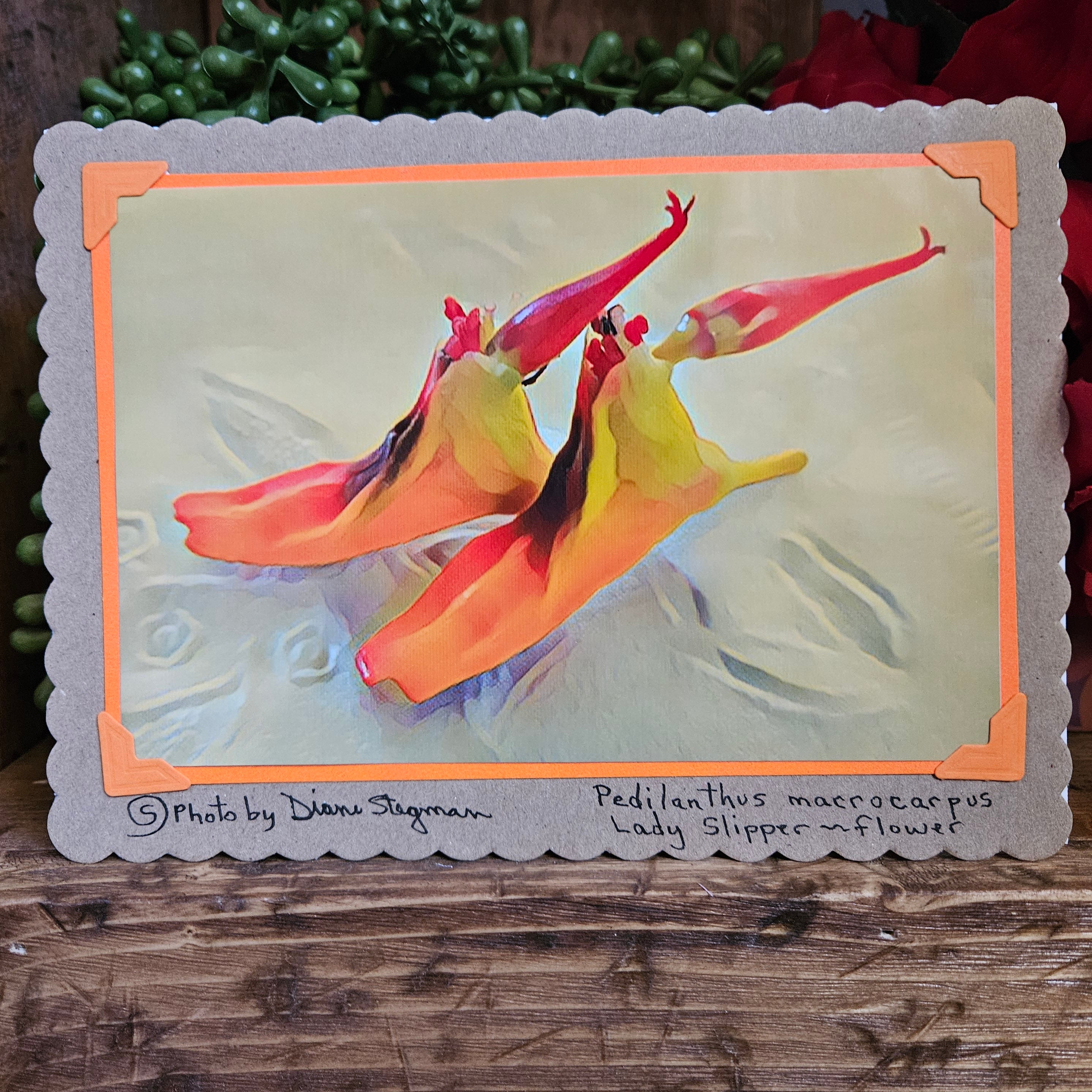 Beautifully Hand Crafted Custom Created Greeting Card Series by Diane Stegman "Lady Slipper Flower"