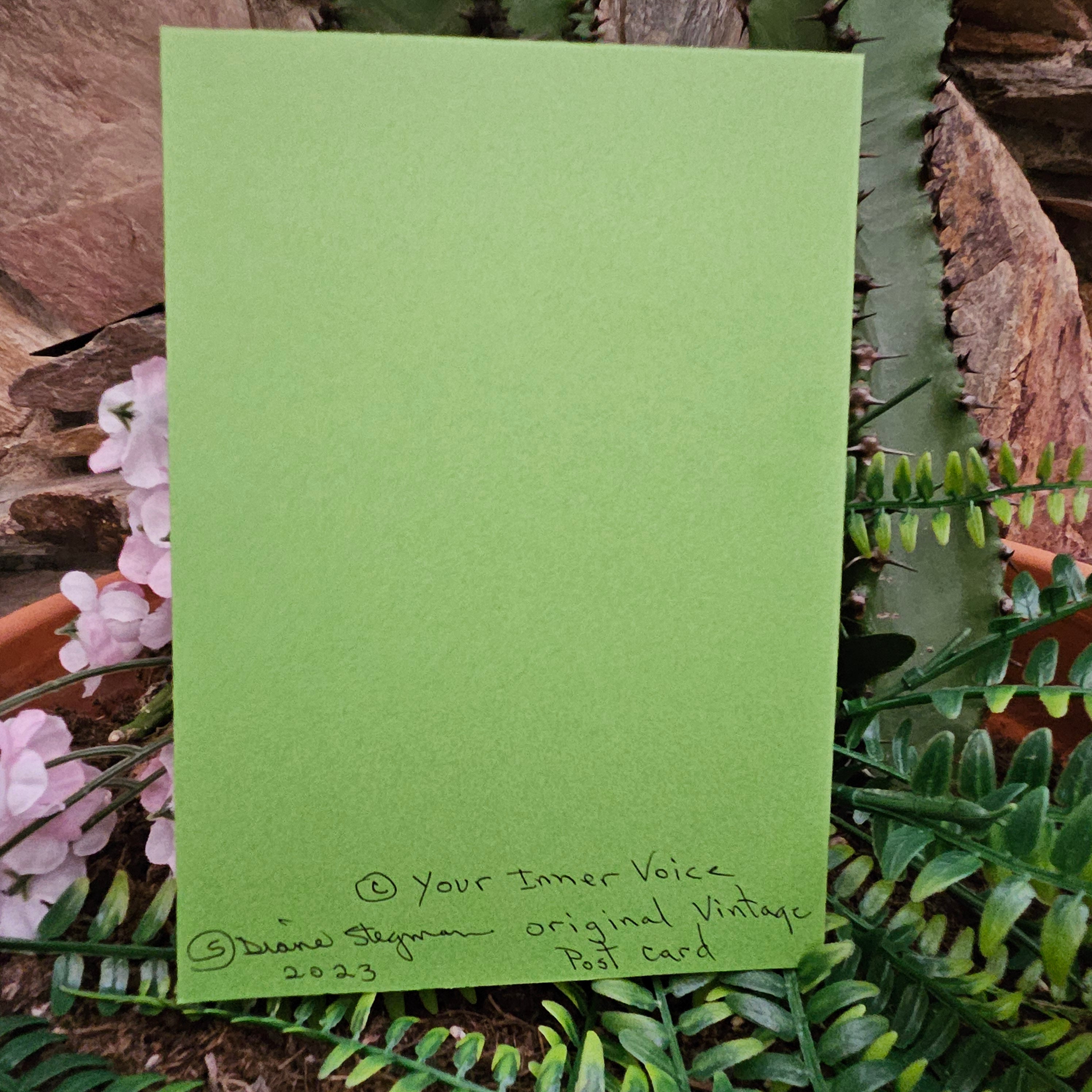 Beautifully Hand Crafted Custom Created Greeting Card Series by Diane Stegman "Cactus in Bloom"