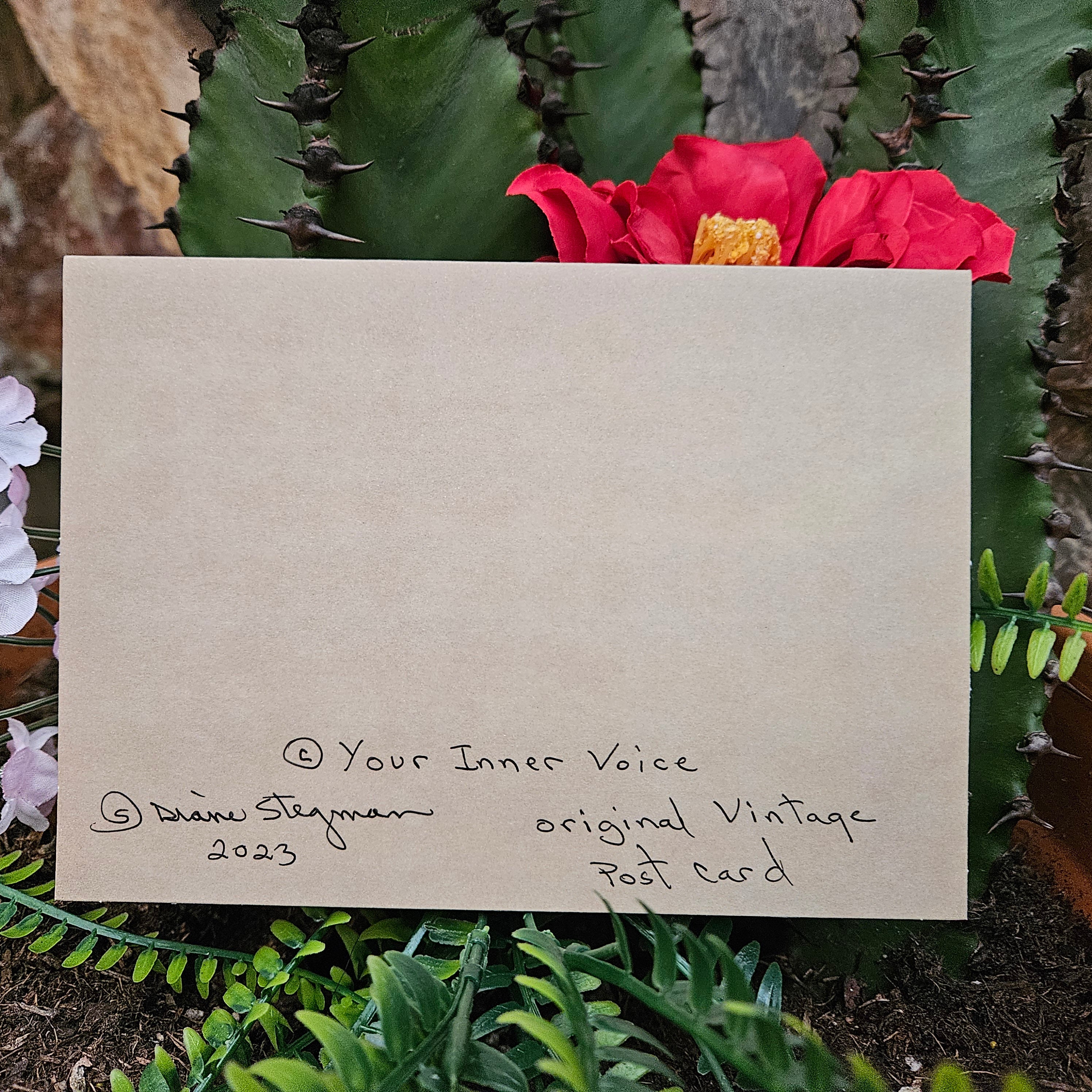 Beautifully Hand Crafted Custom Created Greeting Card Series by Diane Stegman "Prickly Pear Cactus in Bloom"