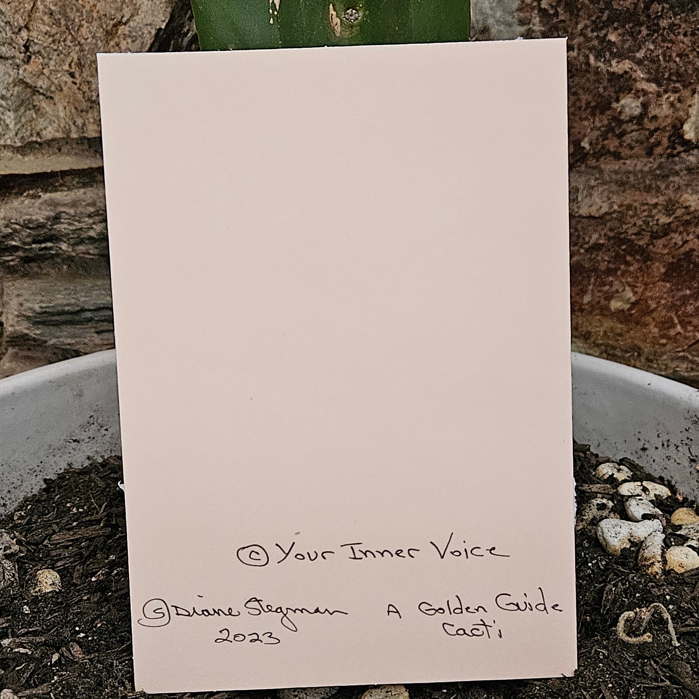 Beautifully Hand Crafted Custom Created Greeting Card Series by Diane Stegman "Eagle Claws Cactus"