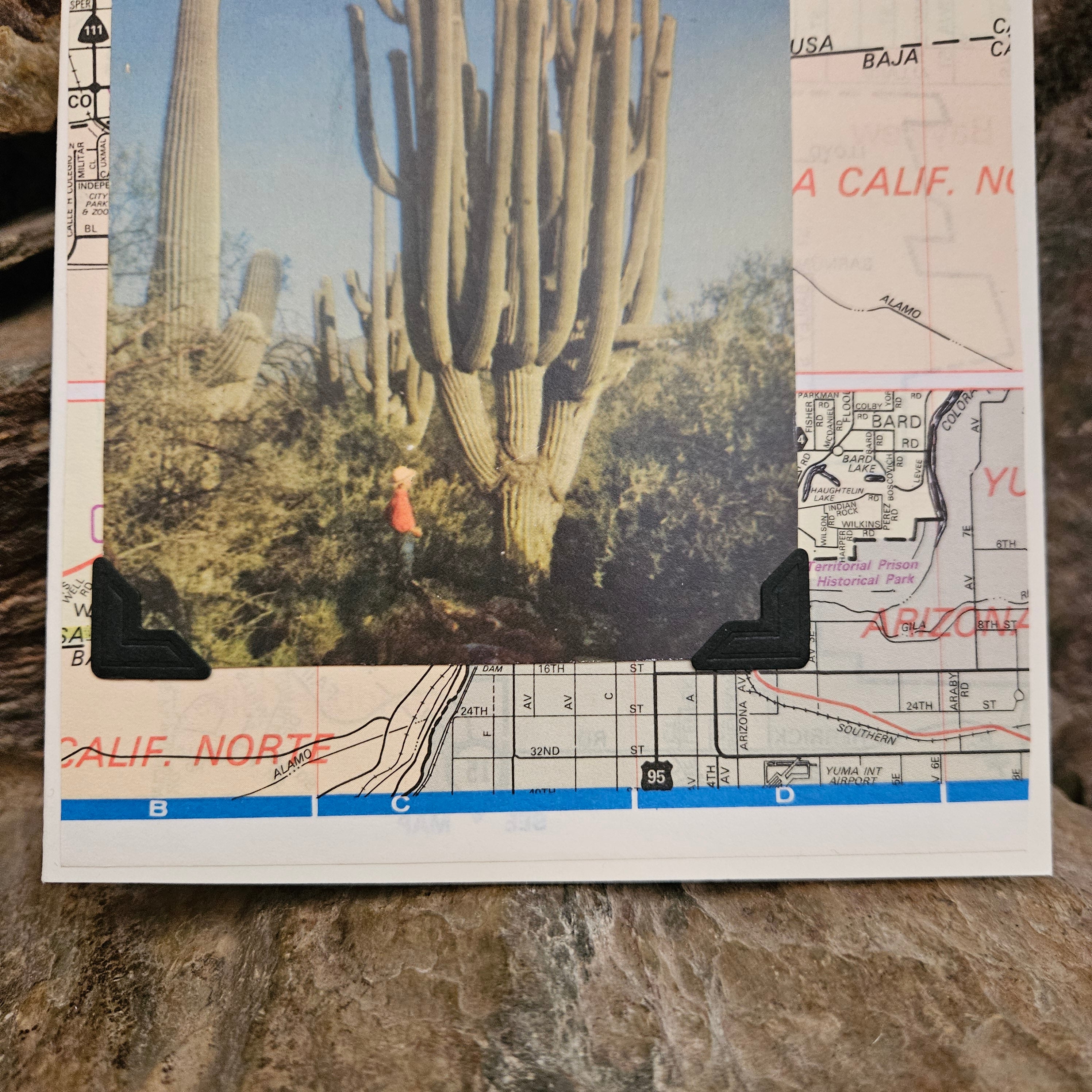 Beautifully Hand Crafted Custom Created Greeting Card Series by Diane Stegman "Giant Saguaro Cactus"