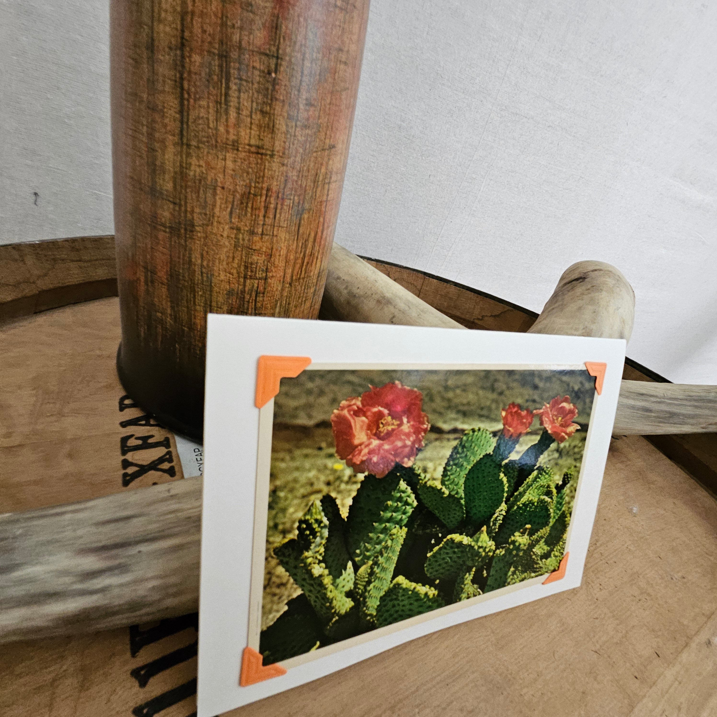 Beautifully Hand Crafted Custom Created Greeting Card Series by Diane Stegman "Beavertail Cactus in Bloom"