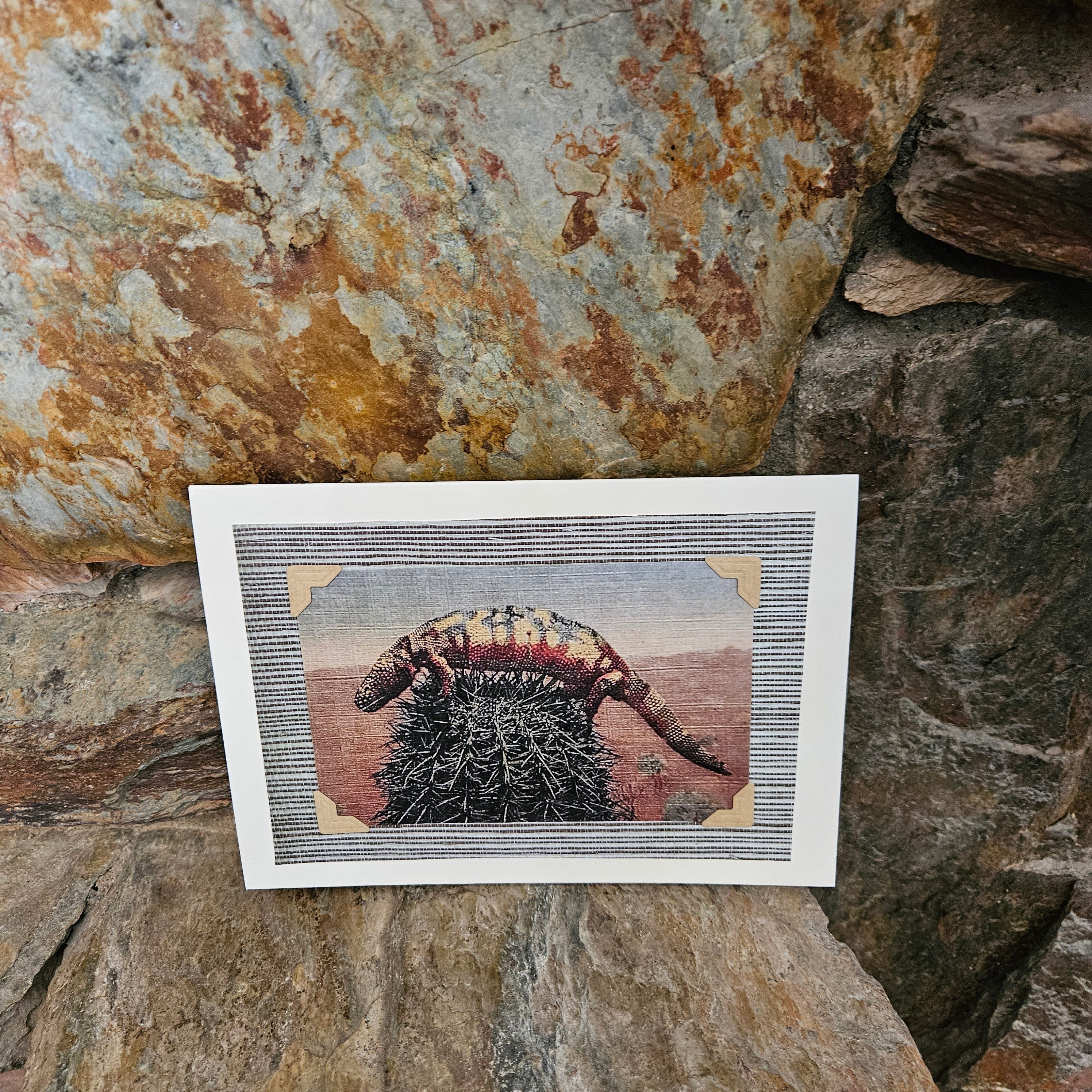 Beautifully Hand Crafted Custom Created Greeting Card Series by Diane Stegman "Gila Monster Lizard on Prickly Cactus"