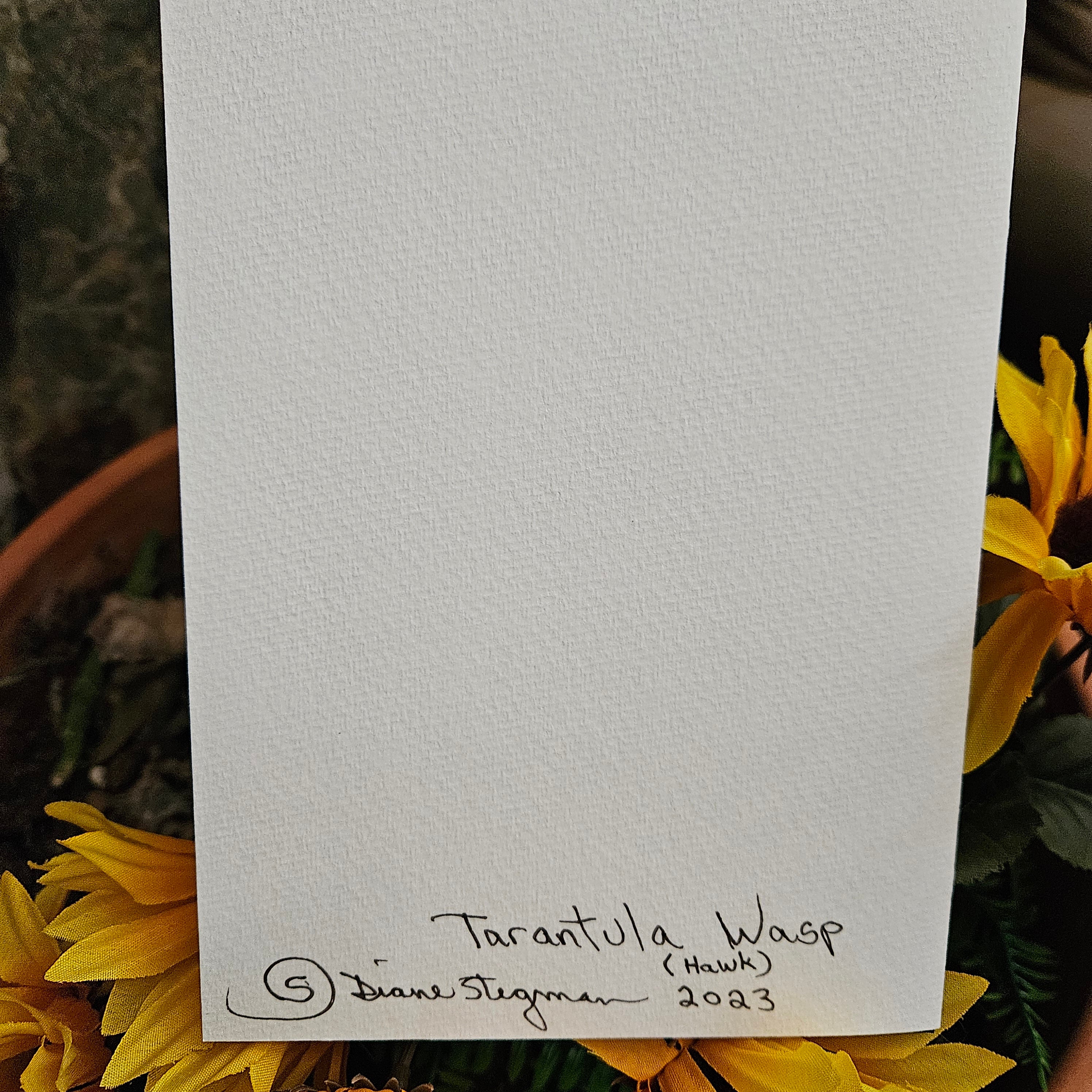 Beautifully Hand Crafted Custom Created Greeting Card Series by Diane Stegman "Tarantula Hawk"