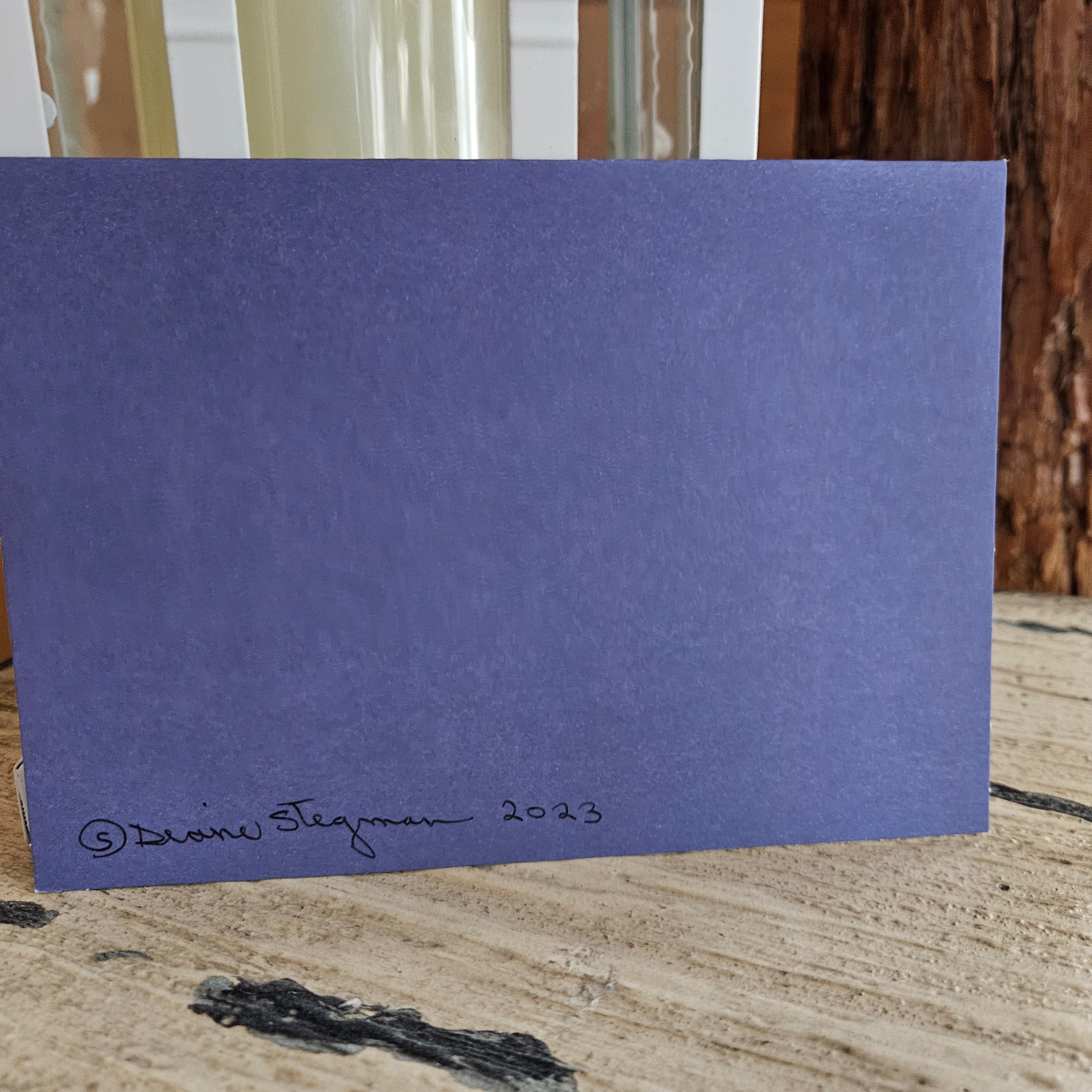 Beautifully Hand Crafted Custom Created Greeting Card Series by Diane Stegman "Santa Bulbs"