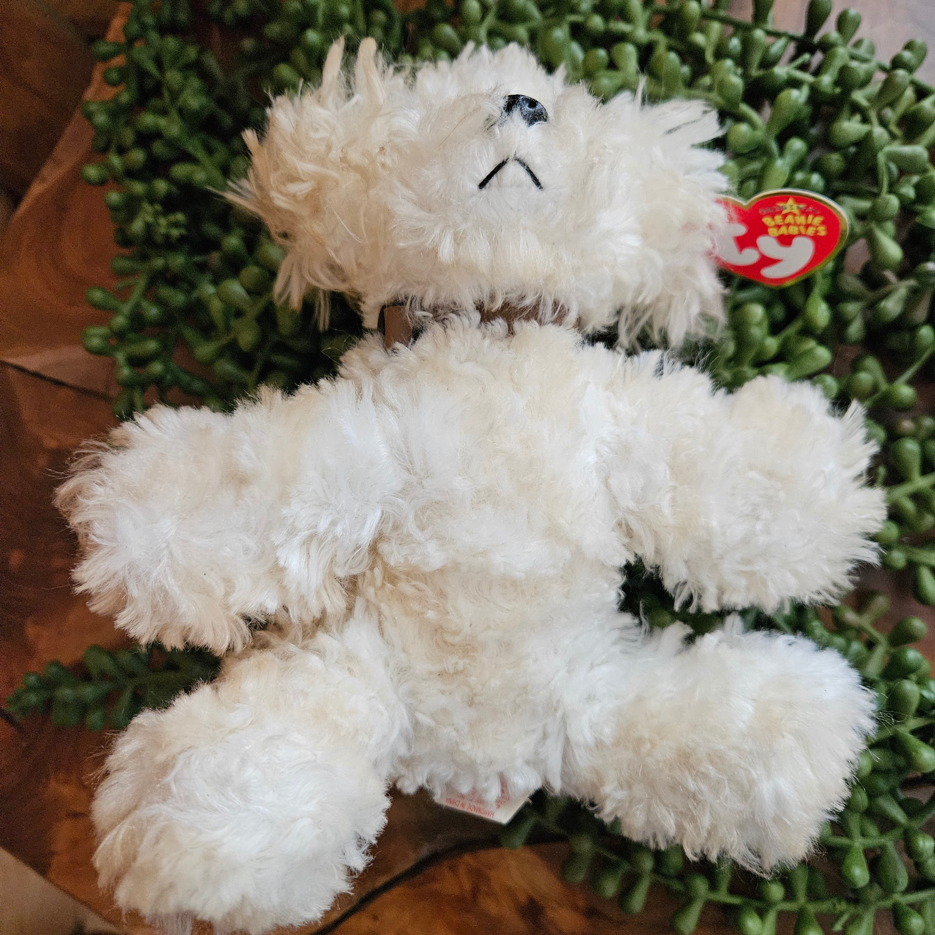 Ty Beanie Babies "Lollipup the Dog"
