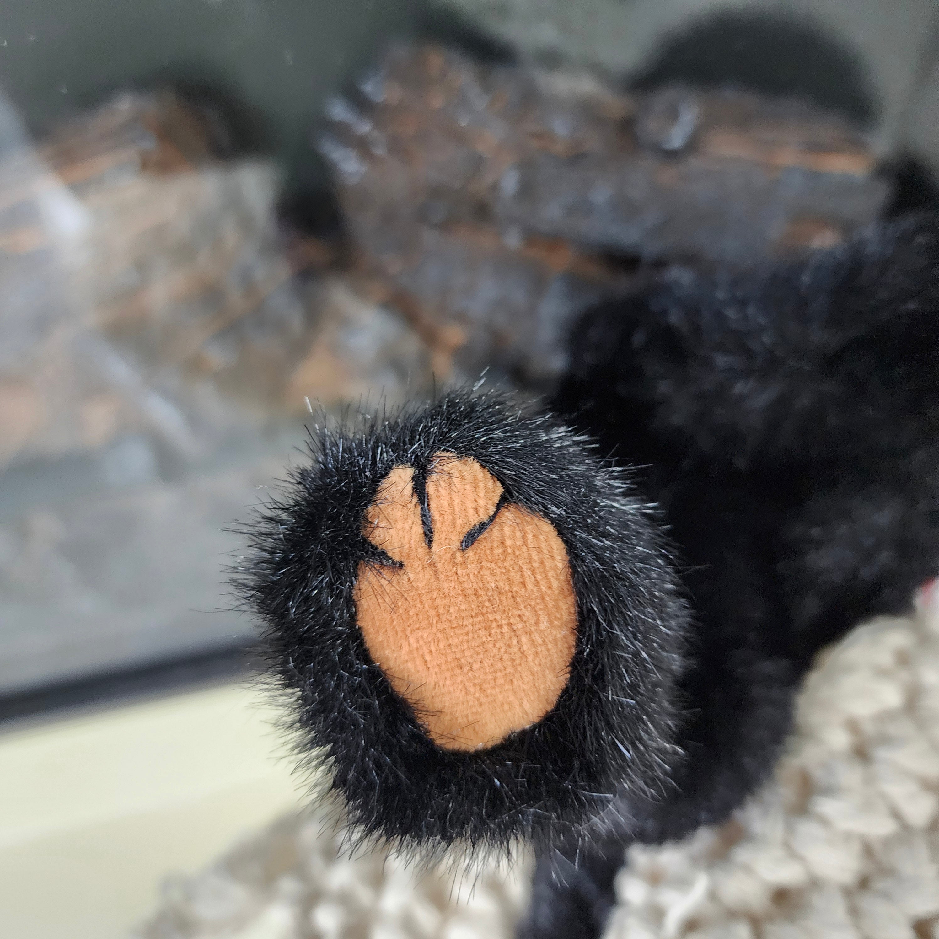 Ty Beanie Babies "Ivan the Bear"