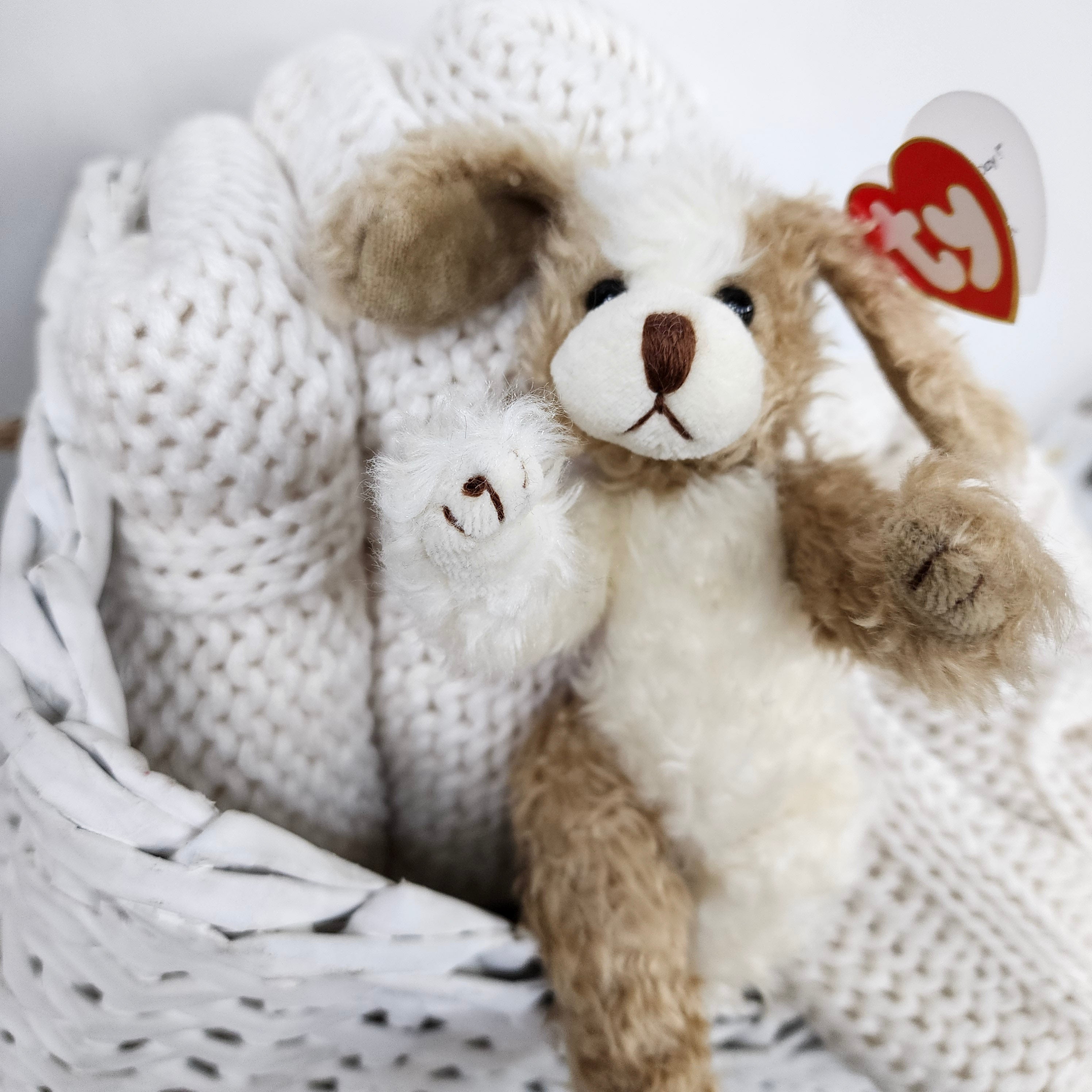 Ty Beanie Babies "Scruffy the Dog"