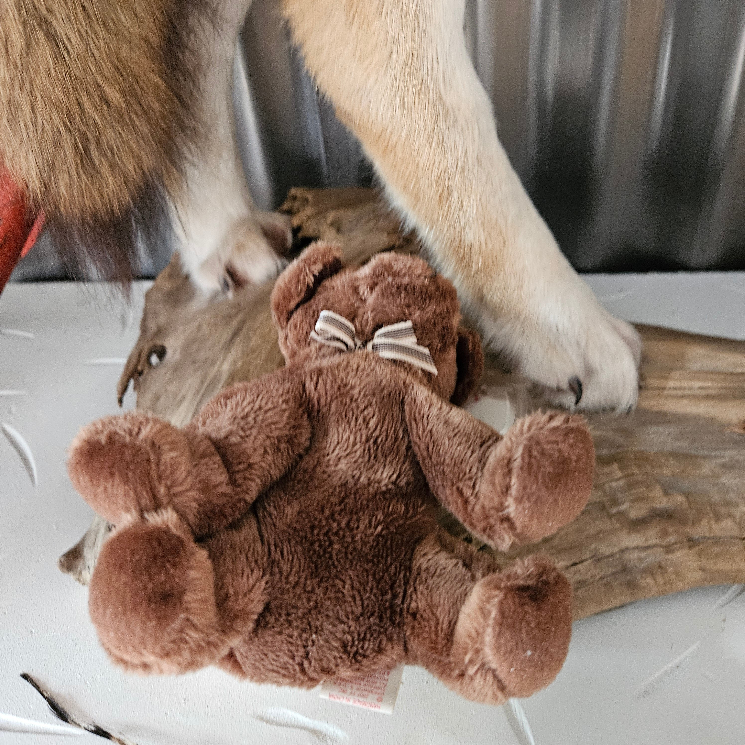 Ty Beanie Babies "Diggidy the Dog"
