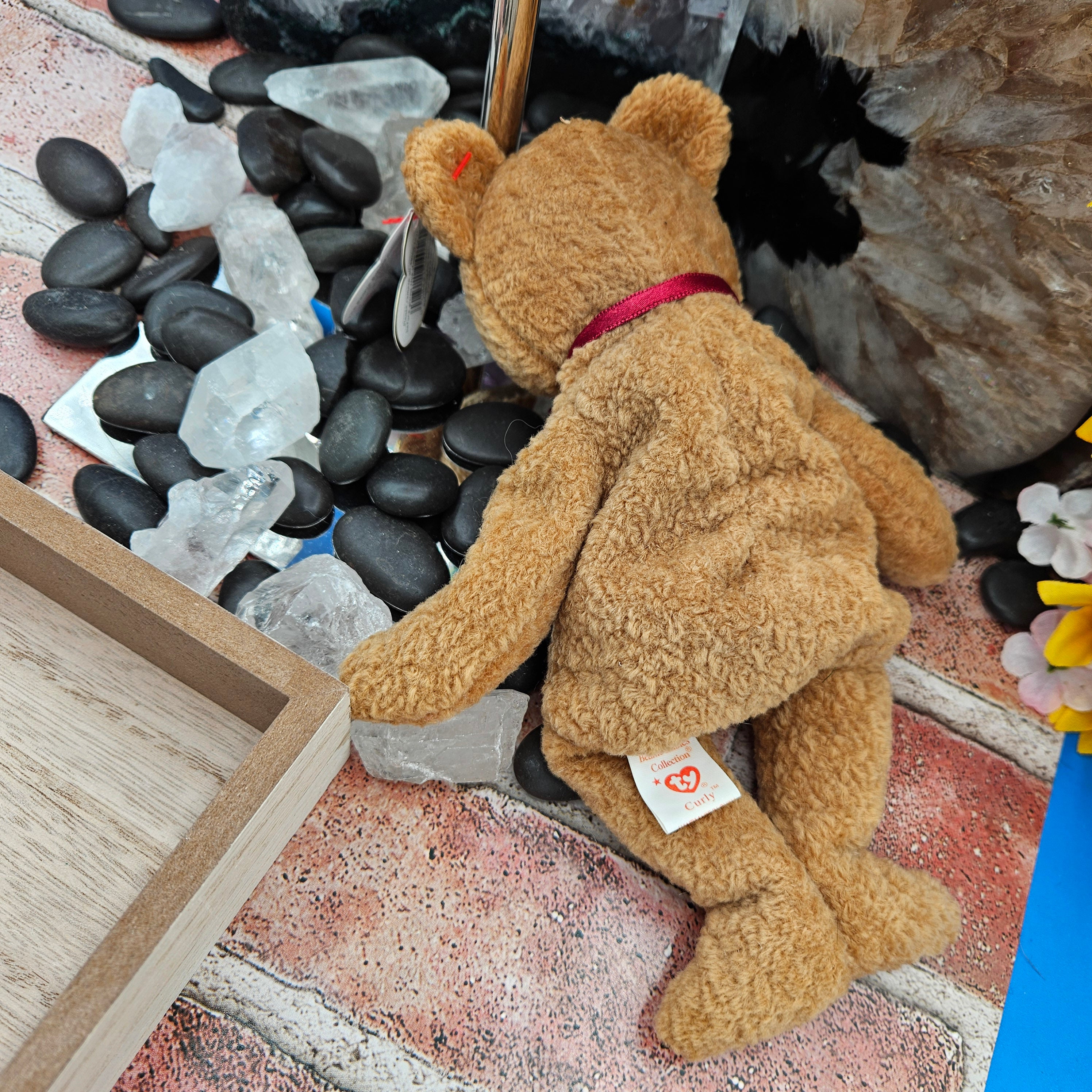 Ty Beanie Babies "Curly the Bear"