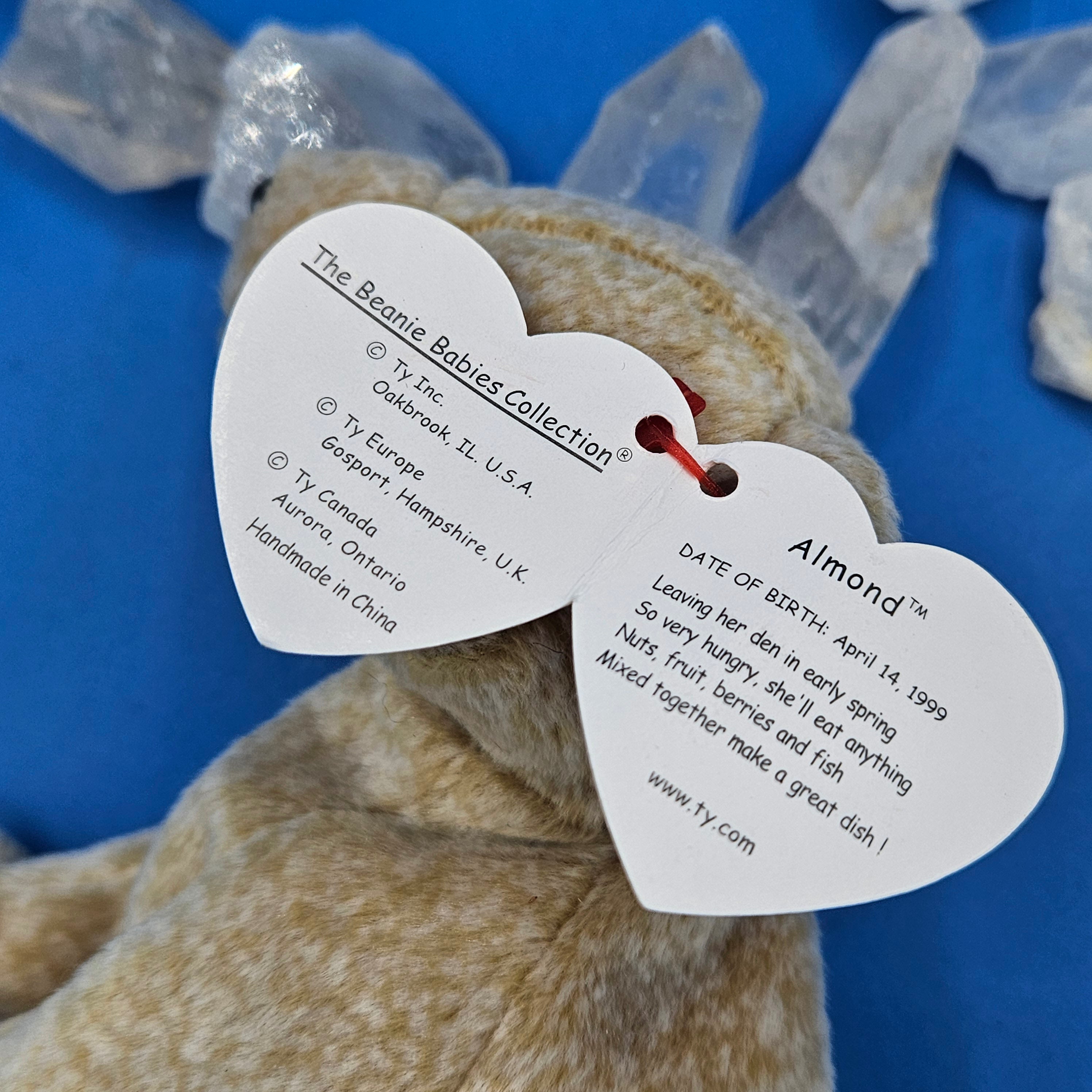 Ty Beanie Babies "Almond the Bear"