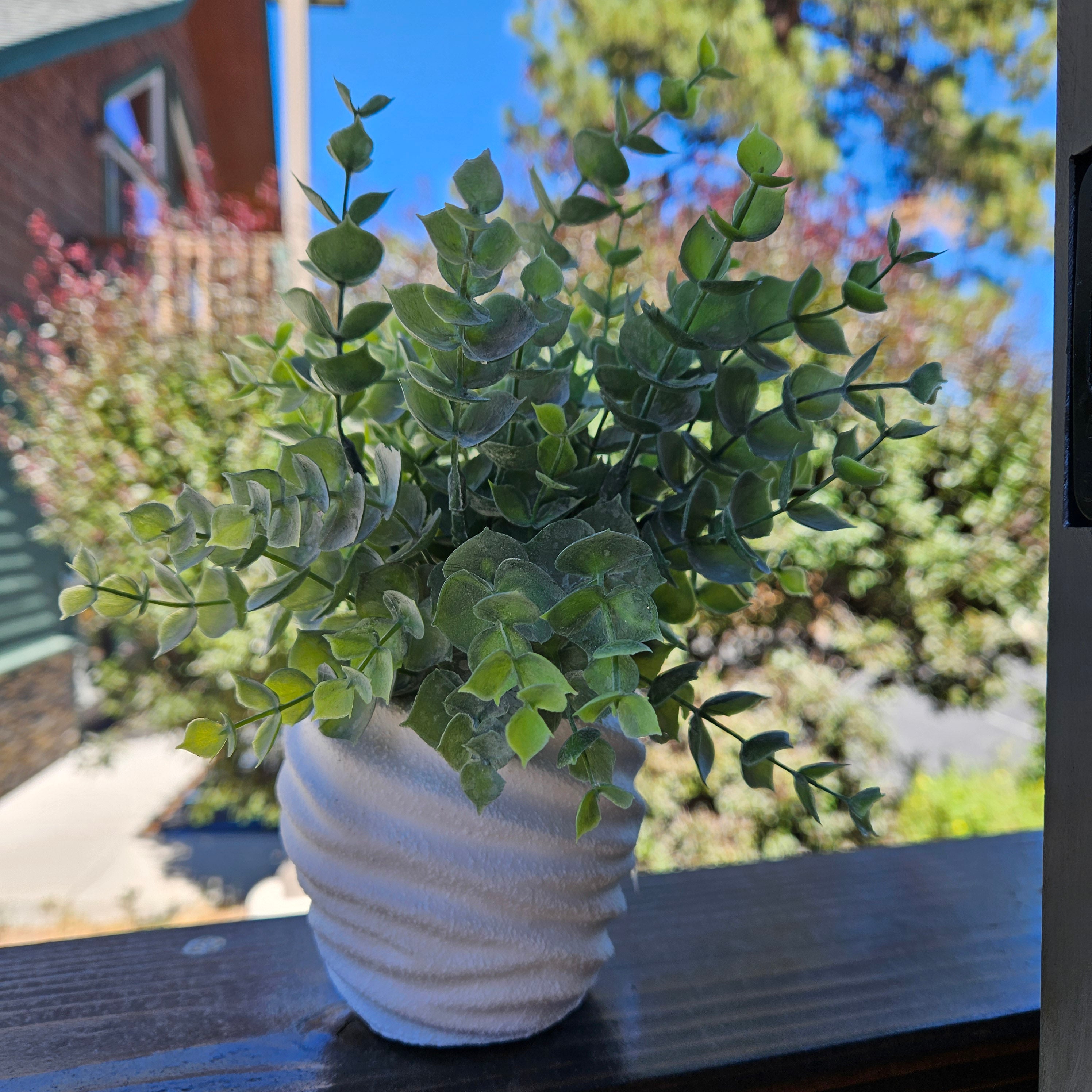 Faux Powered Eucalyptus Plant in a Rounded Ripple Ceramic Pot