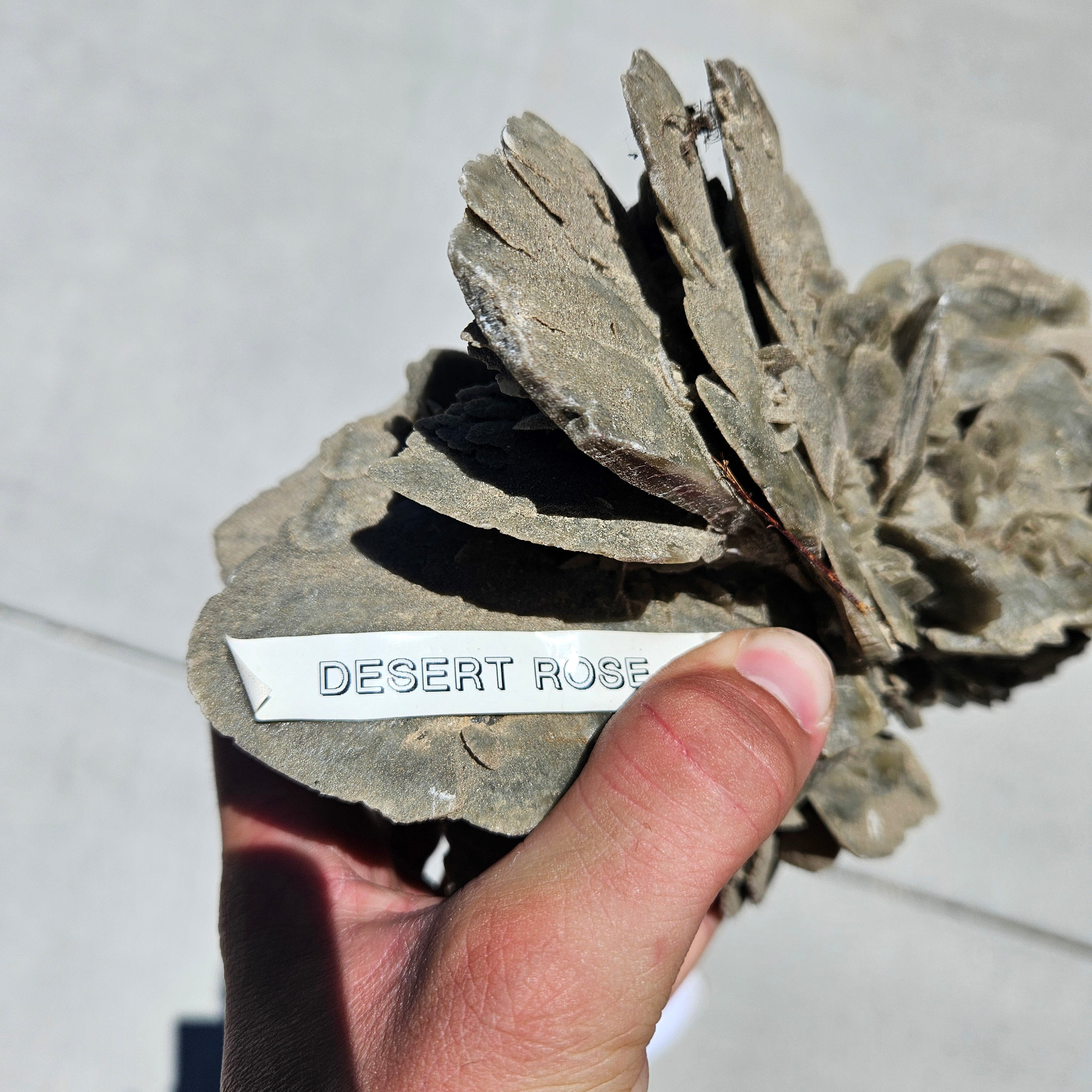 Desert Rose stone Cluster