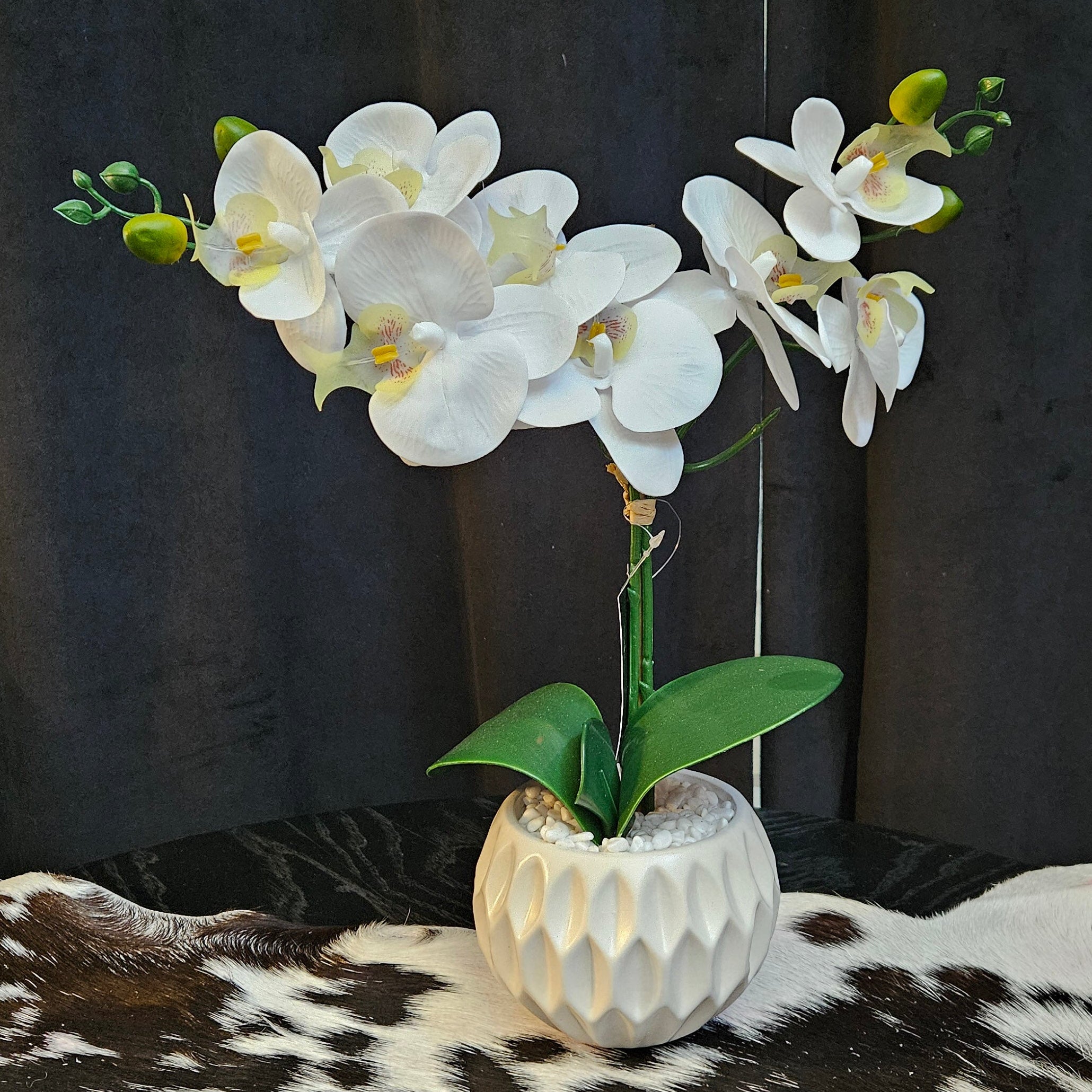 Artificial White Phalaenopsis Orchid in a White Ceramic Pot