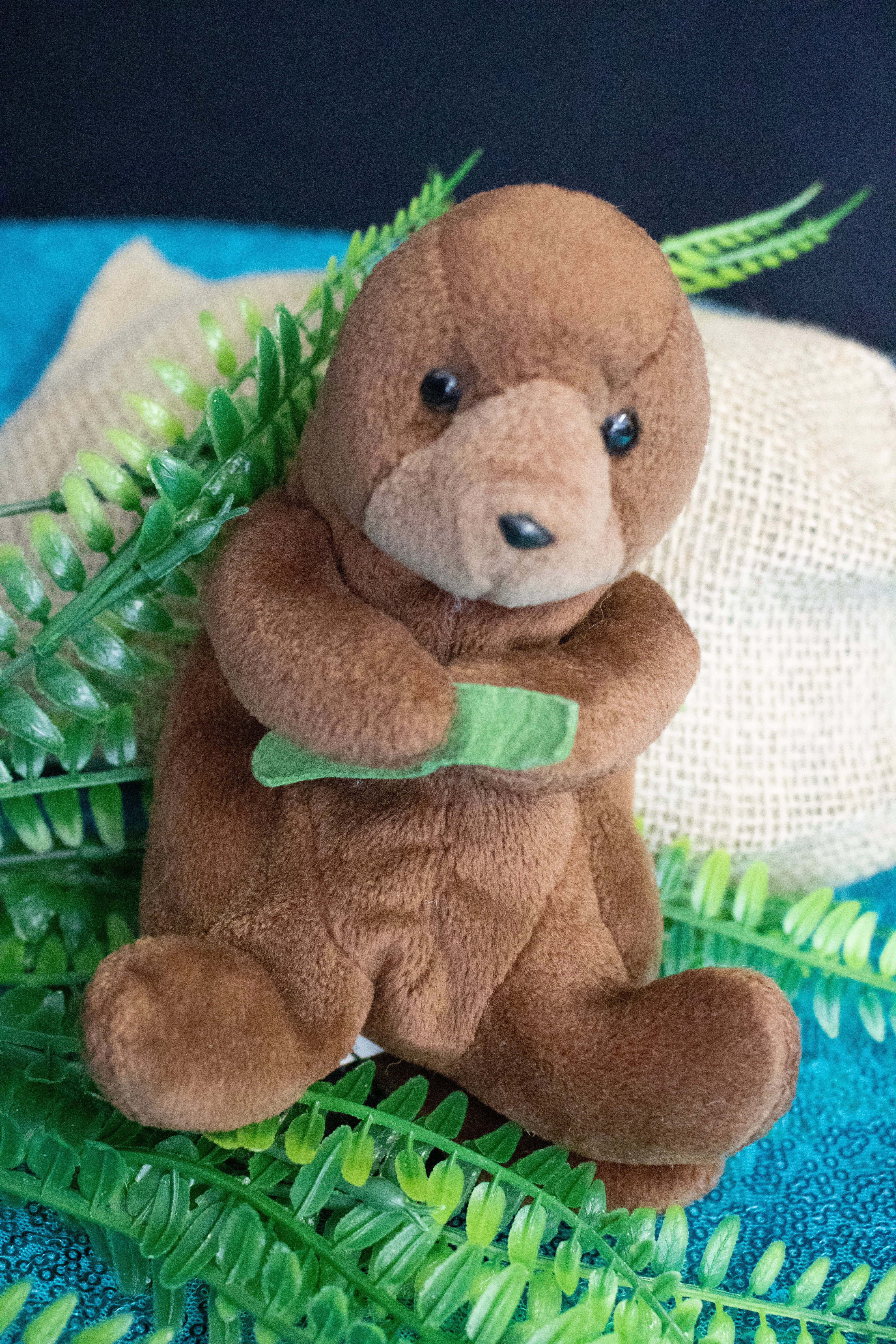 Vintage 1996 Ty Beanie Baby Seaweed the Otter without tag