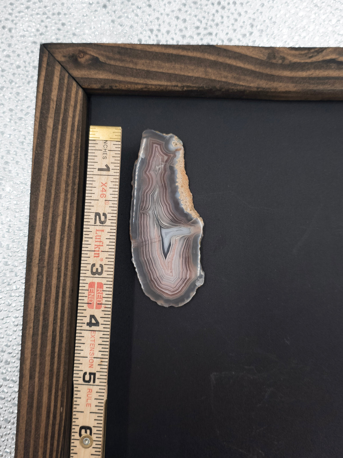 Banded Fortification Agate Slice