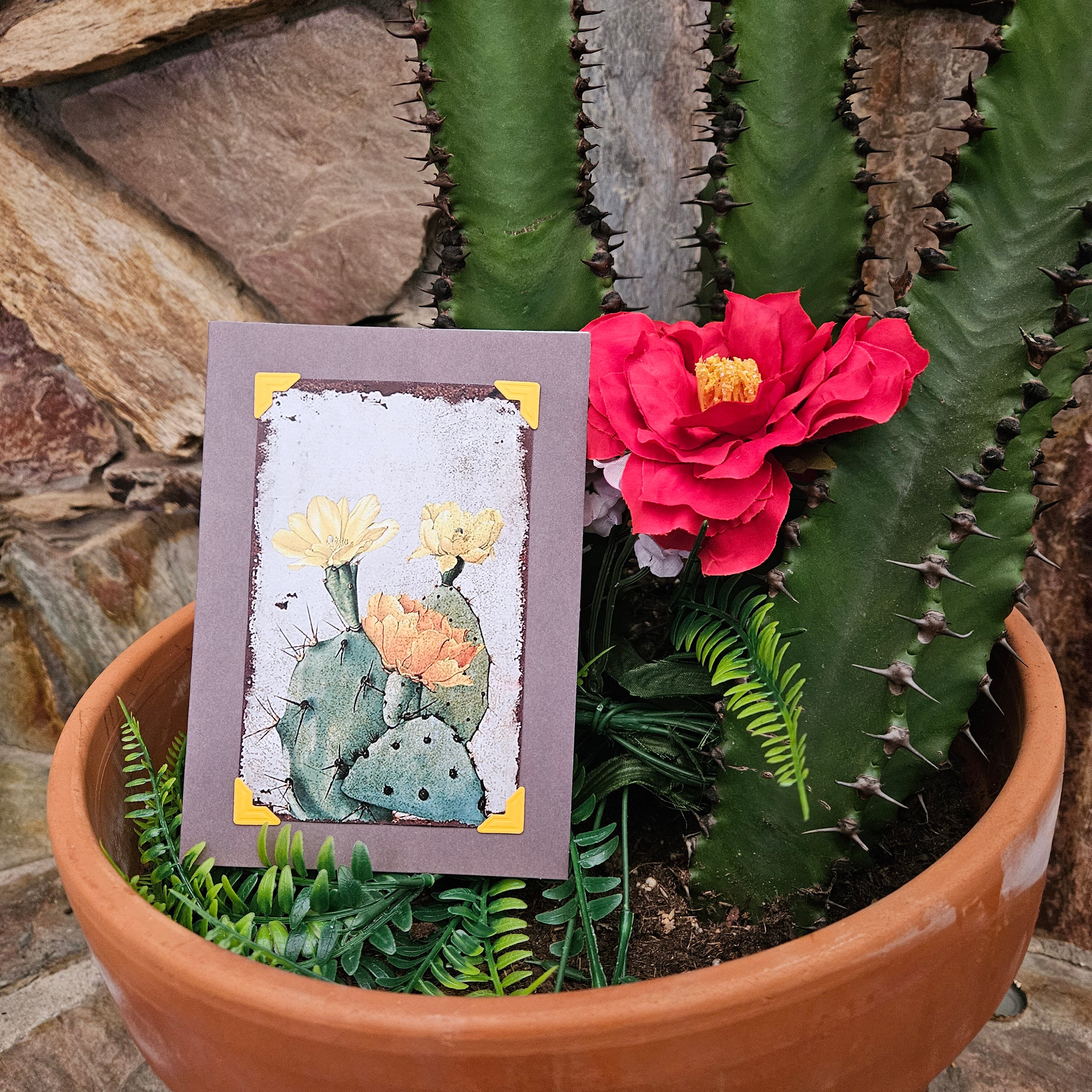 Beautifully Hand Crafted Custom Created Greeting Card Series by Diane Stegman "Prickly Pear Cactus"