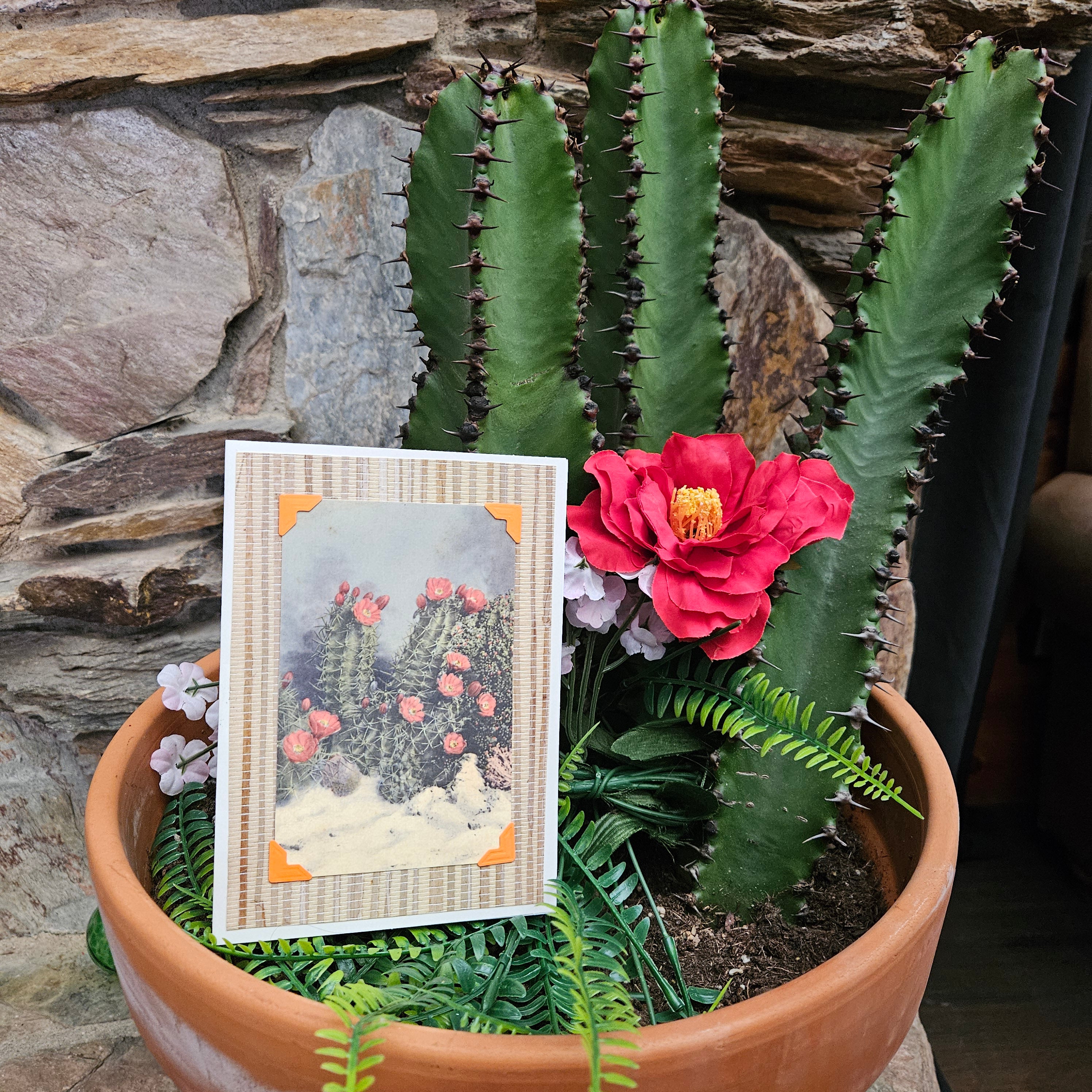Beautifully Hand Crafted Custom Created Greeting Card Series by Diane Stegman "Flowering White Sands Cactus"