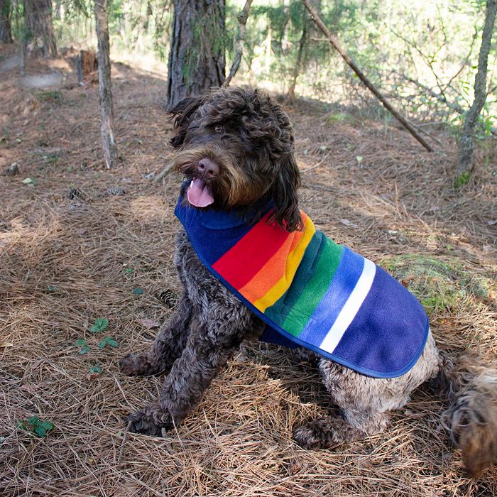 Pendleton Crater Lake National Forest Dog Coat