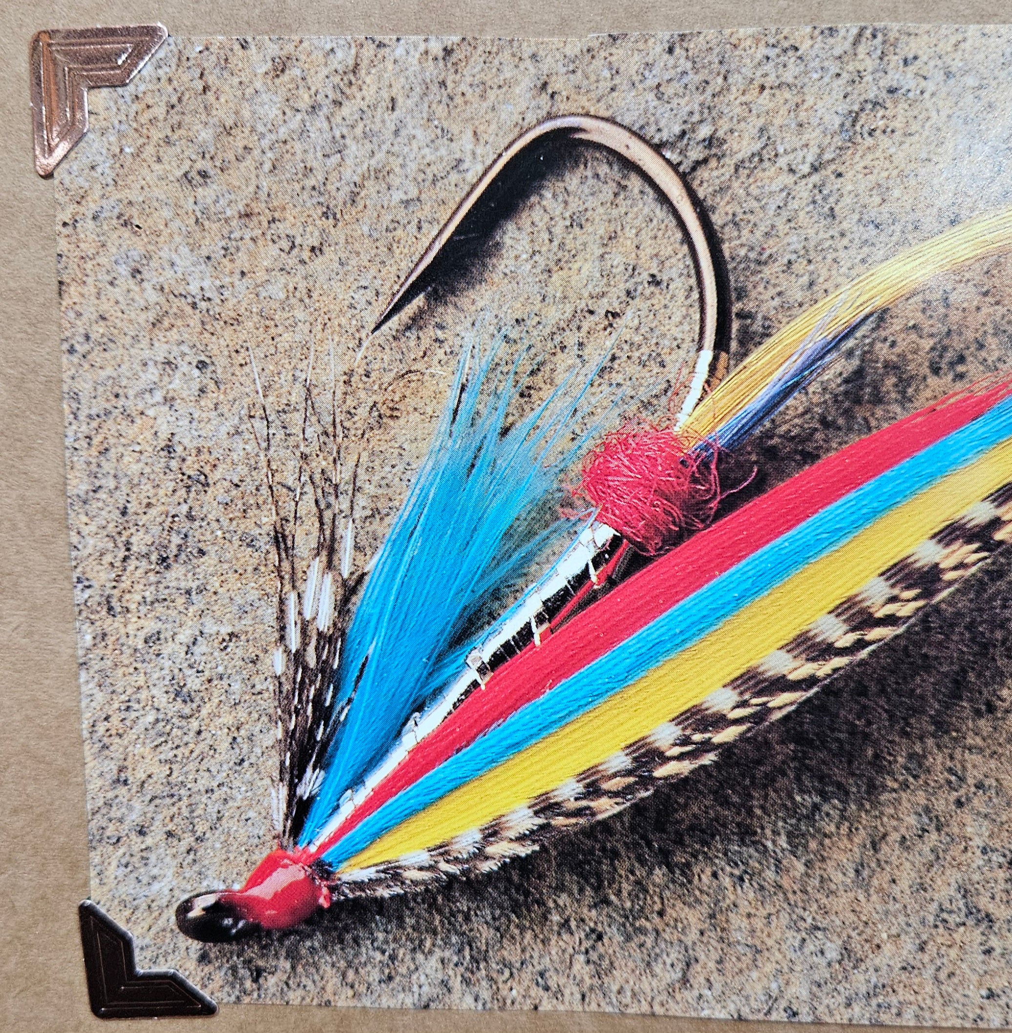 Beautifully Hand Crafted Custom Created Greeting Card Series by Diane Stegman "Colorful Feather Fishing Lure"