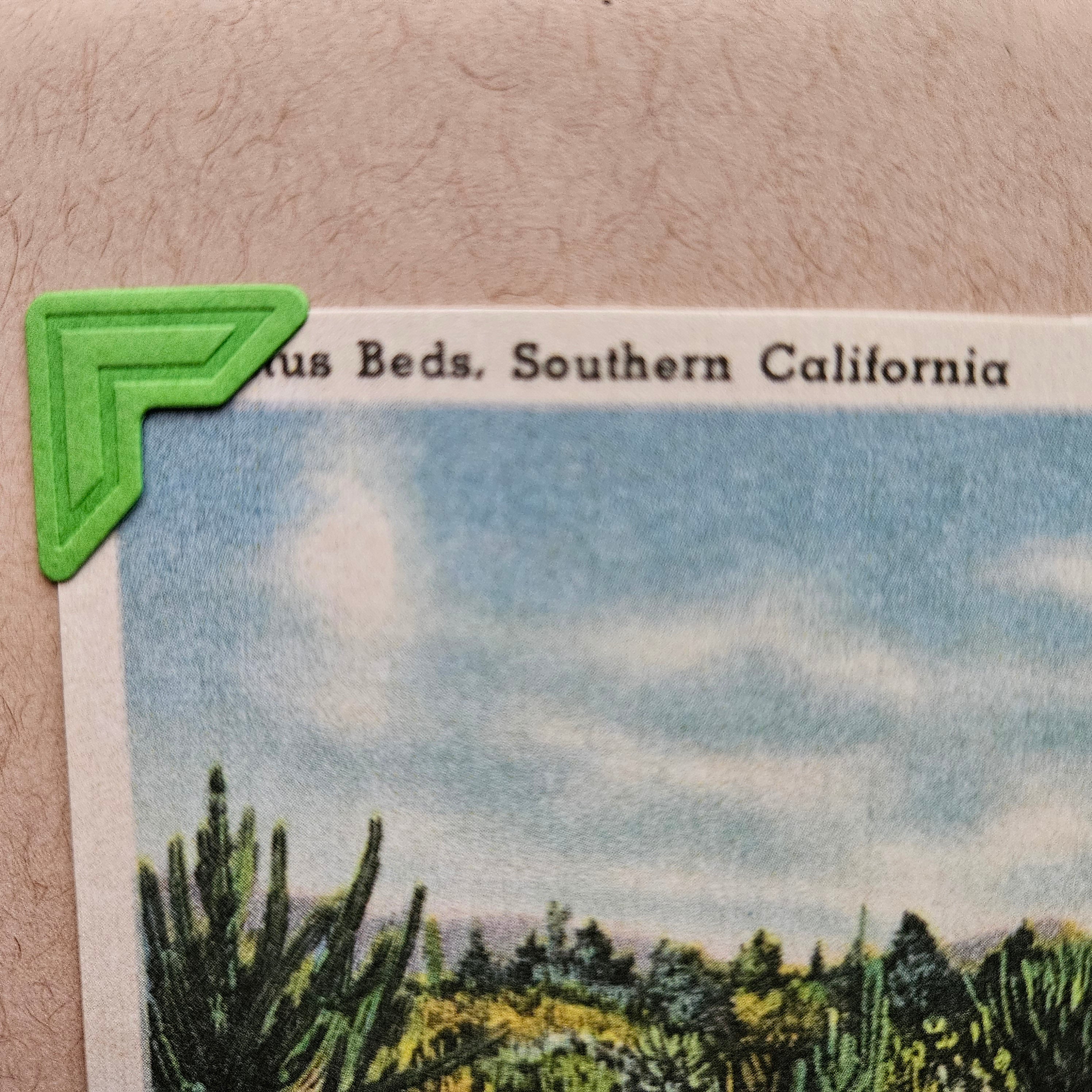 Beautifully Hand Crafted Custom Created Greeting Card Series by Diane Stegman "Cactus Beds, Southern California"