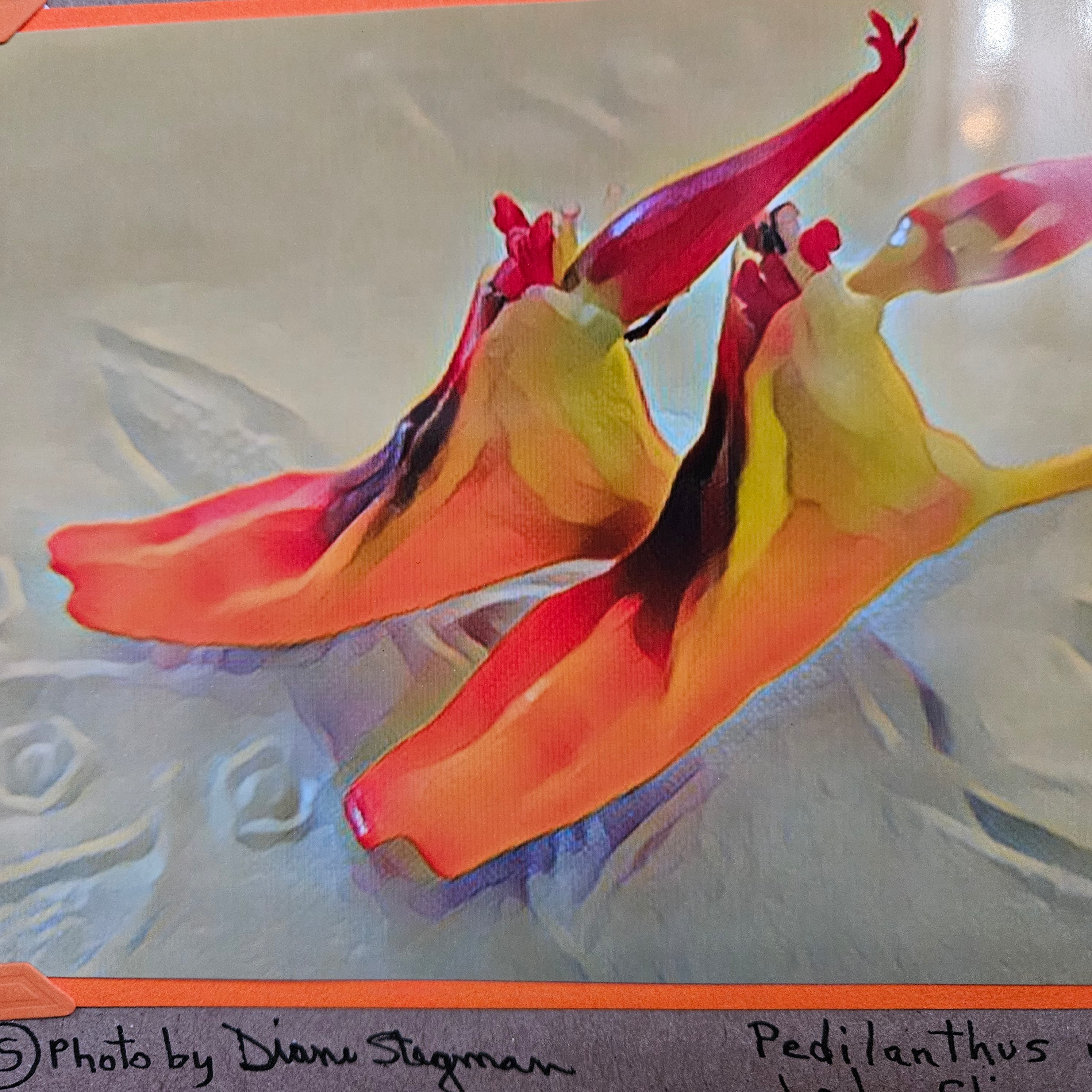 Beautifully Hand Crafted Custom Created Greeting Card Series by Diane Stegman "Lady Slipper Flower"