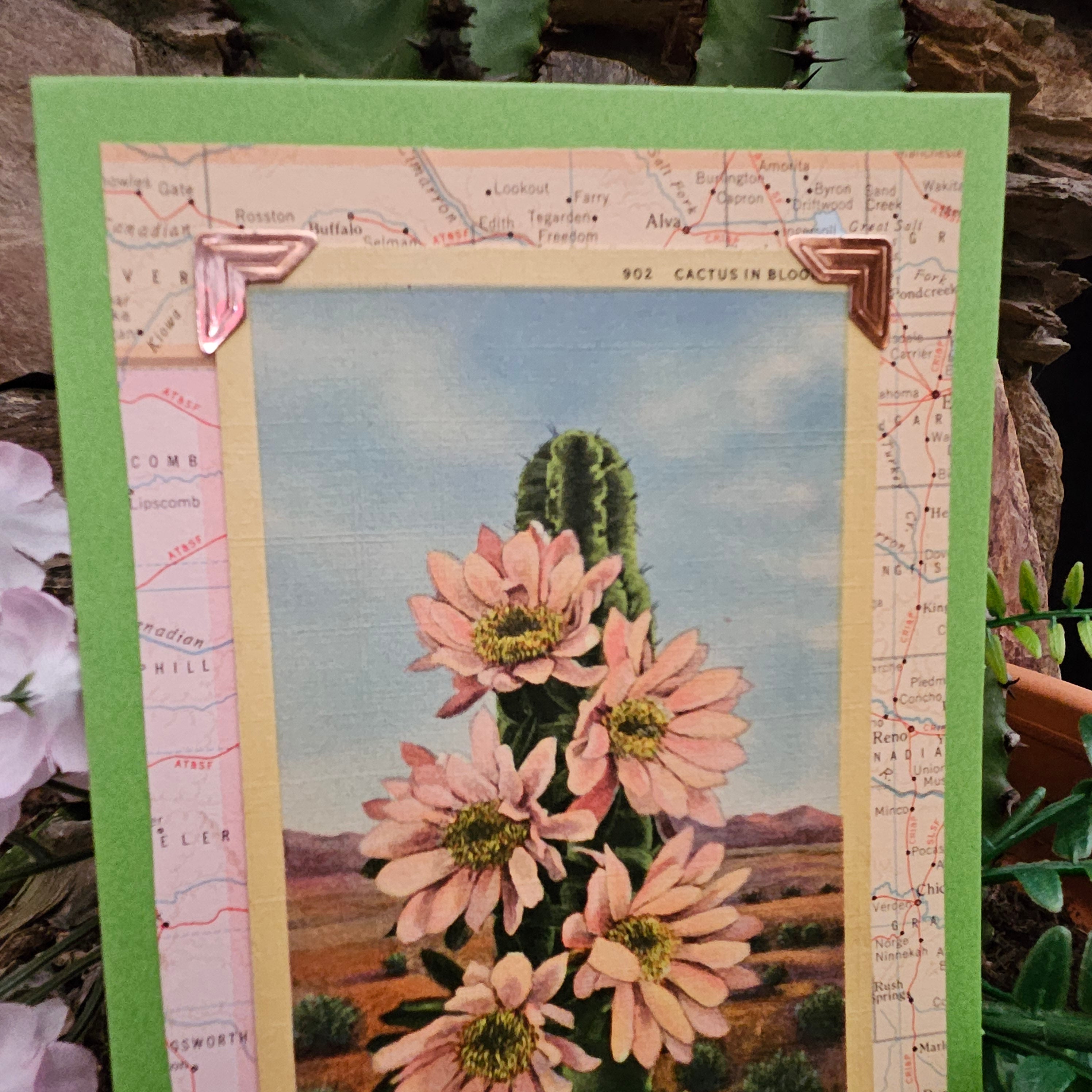 Beautifully Hand Crafted Custom Created Greeting Card Series by Diane Stegman "Cactus in Bloom"