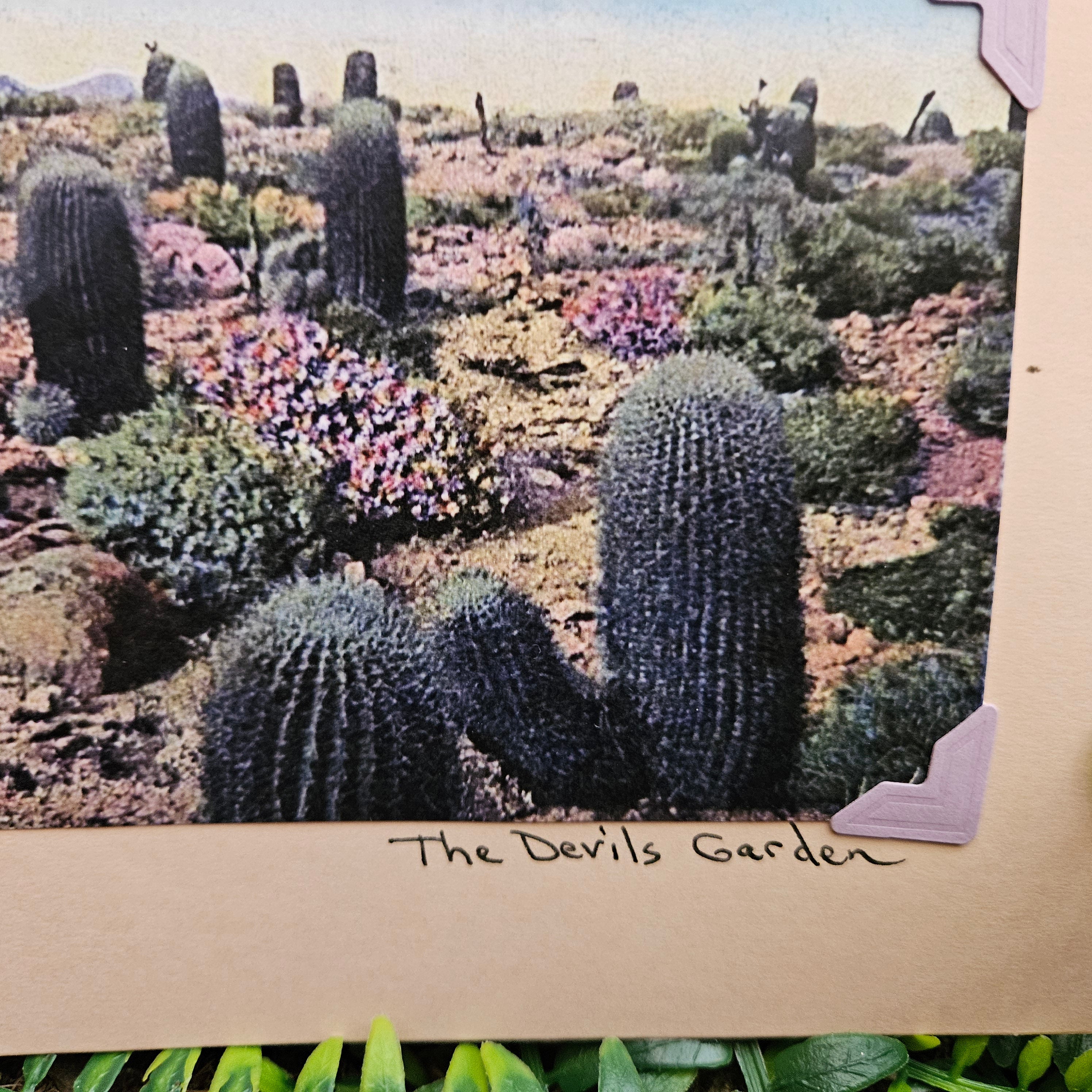 Beautifully Hand Crafted Custom Created Greeting Card Series by Diane Stegman "The Devil's Garden"