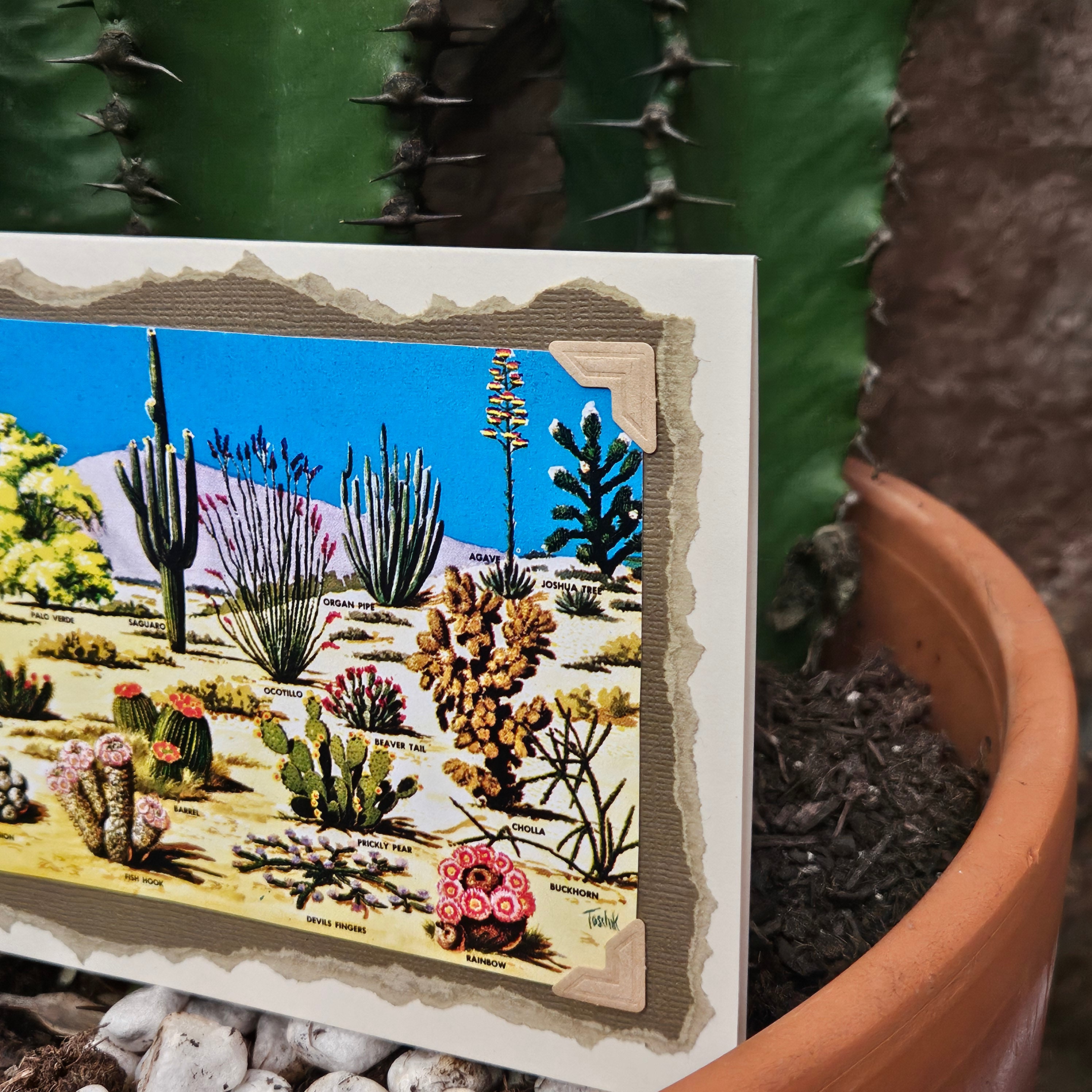 Beautifully Hand Crafted Custom Created Greeting Card Series by Diane Stegman "Cactus Identification"