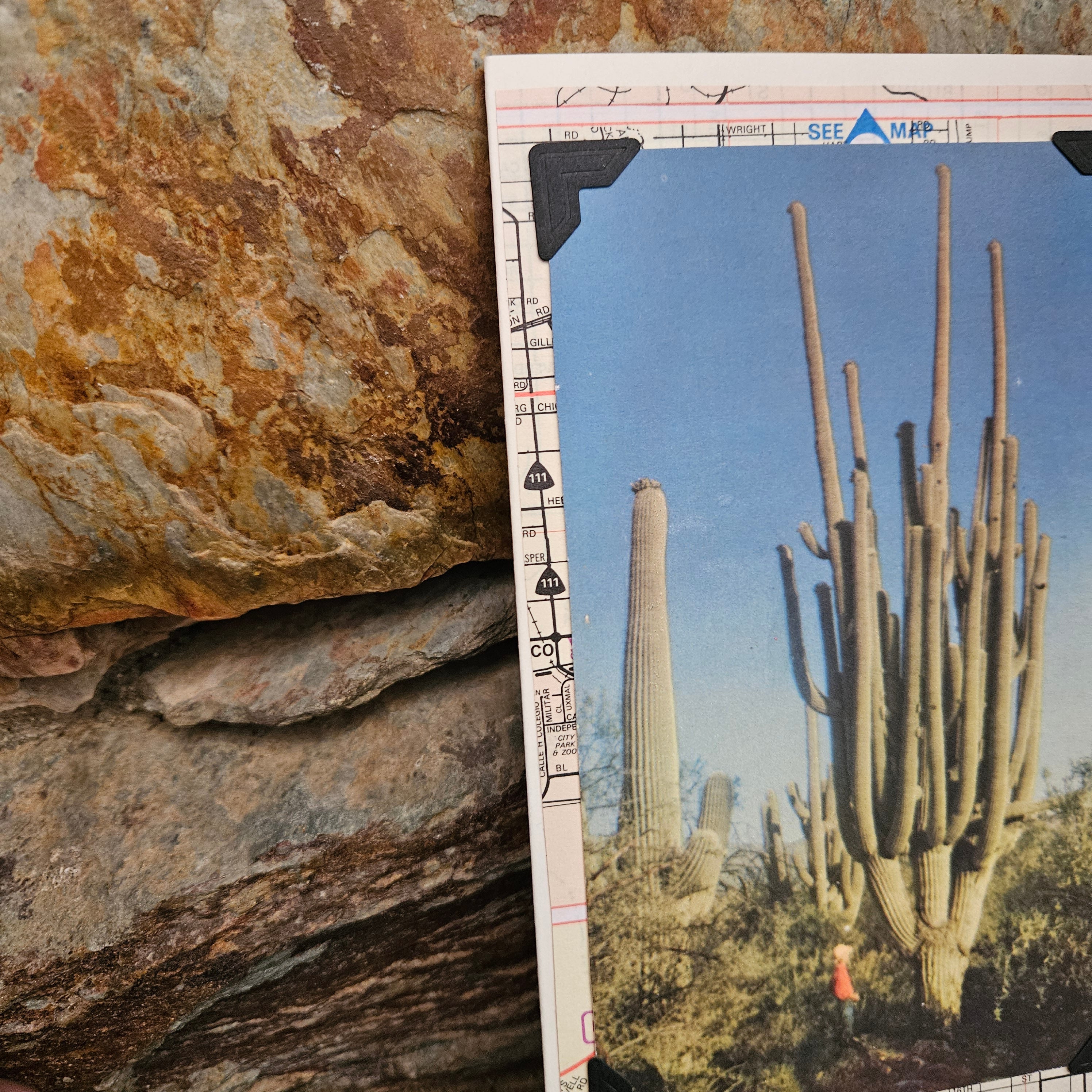Beautifully Hand Crafted Custom Created Greeting Card Series by Diane Stegman "Giant Saguaro Cactus"