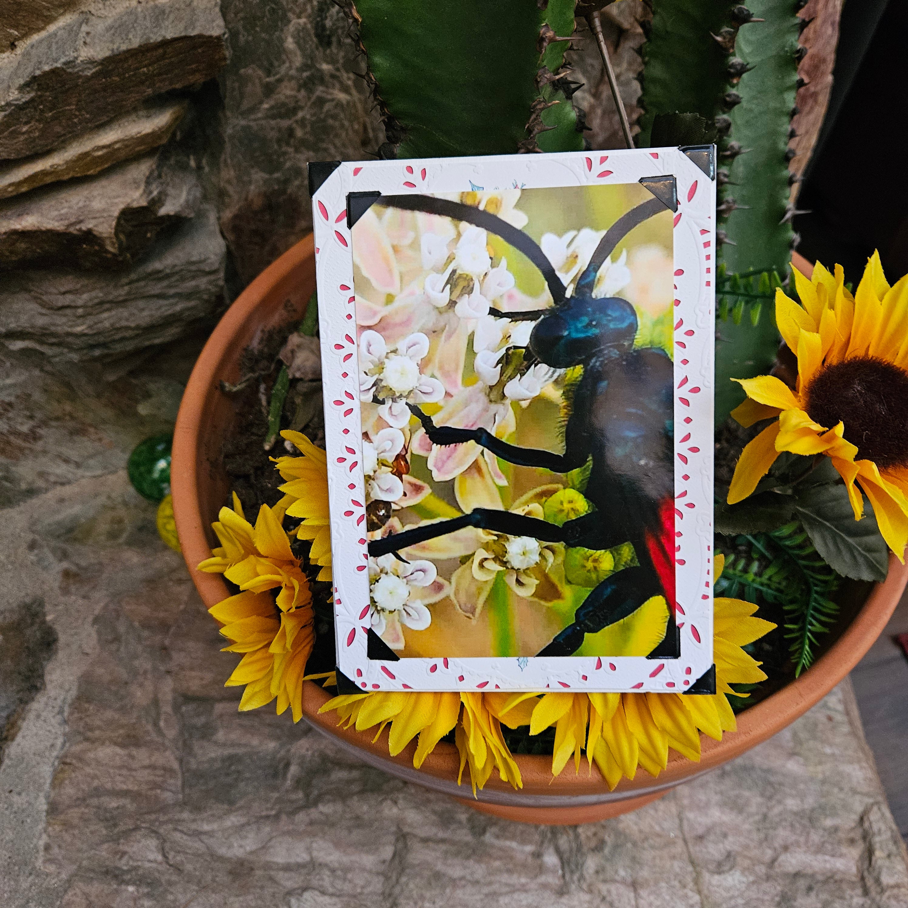 A custom created greeting card featuring an image of a 'Tarantula Hawk' with a matching envelope, displayed in a pot surrounded by yellow flowers.