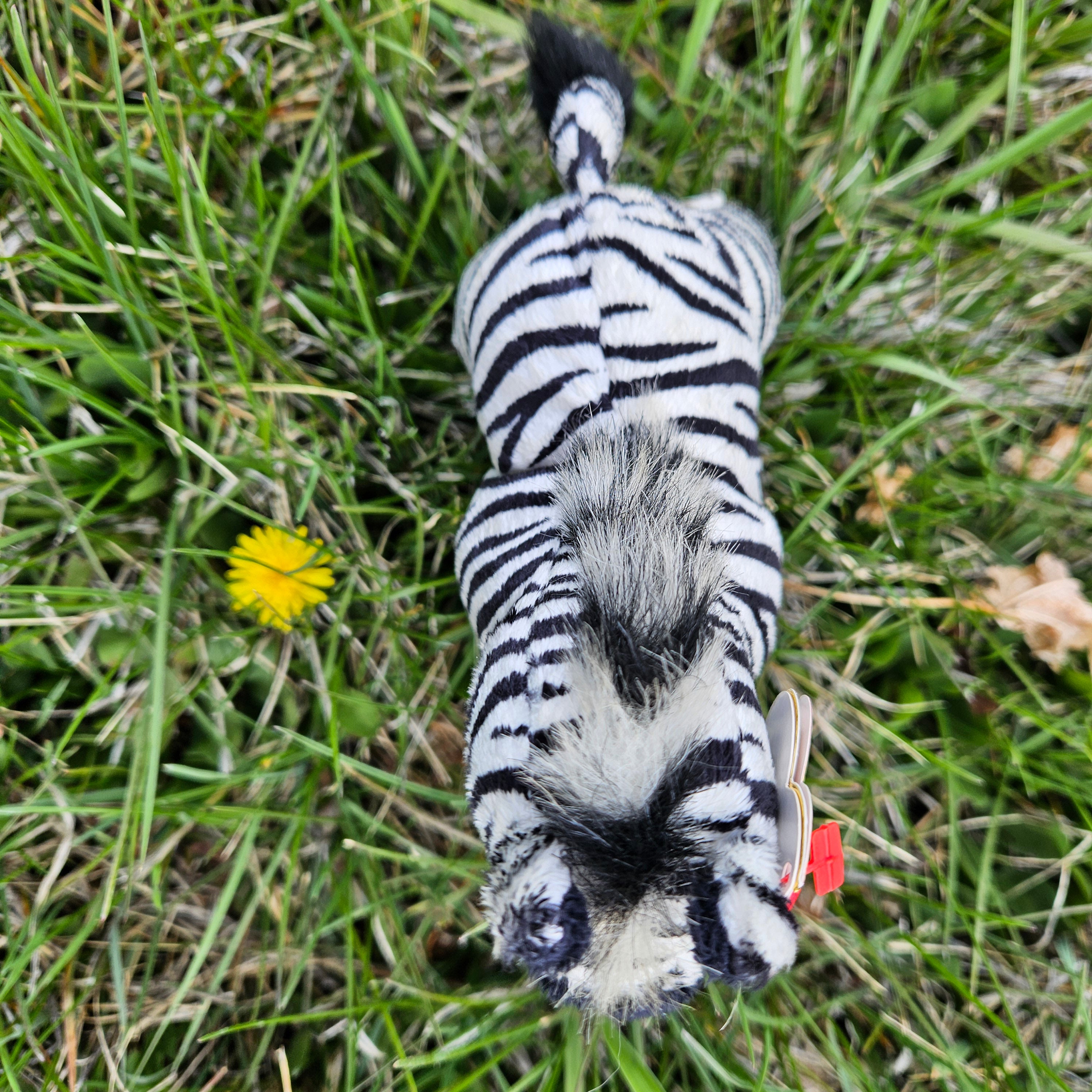 Ty Beanie Babies "Dizz the Zebra"
