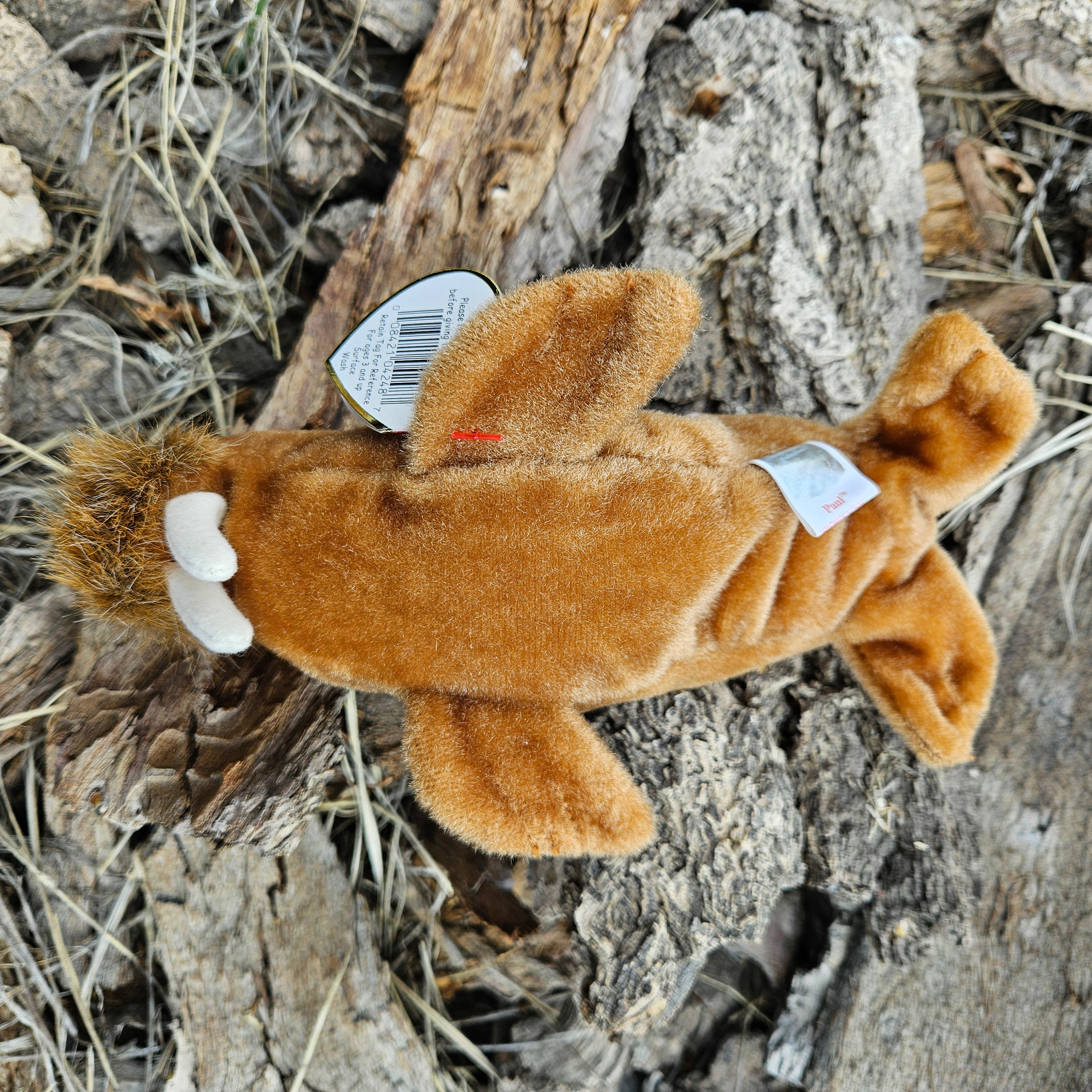 Ty Beanie Babies "Paul the Walrus"