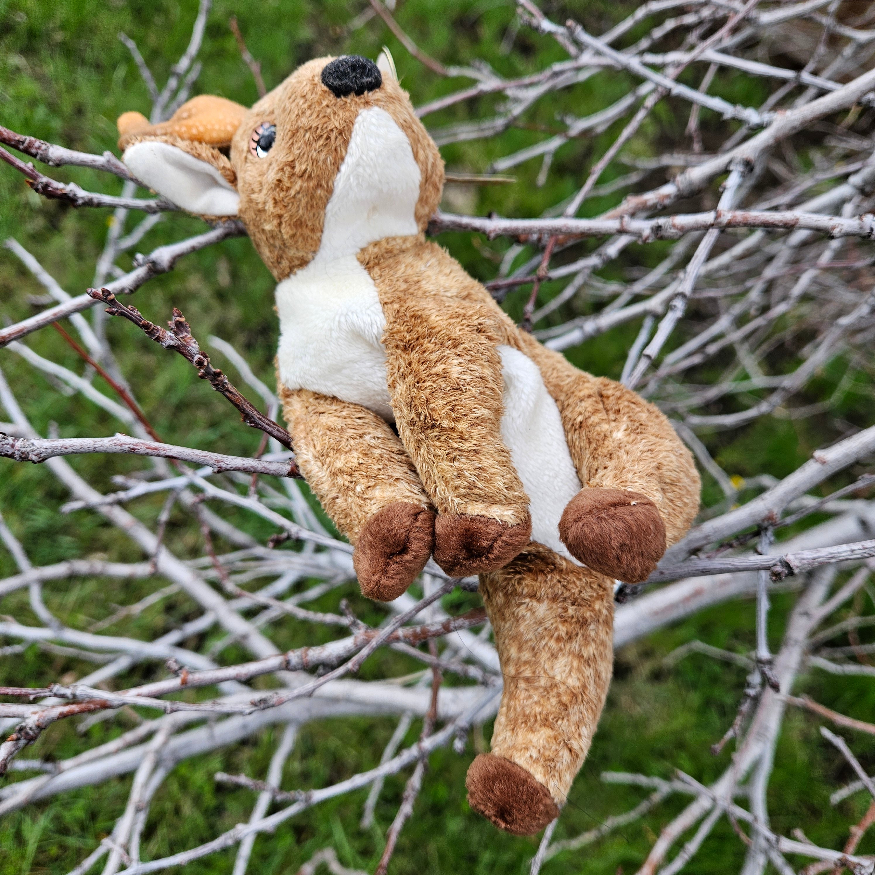 Ty Beanie Babies "Roxie the Reindeer"