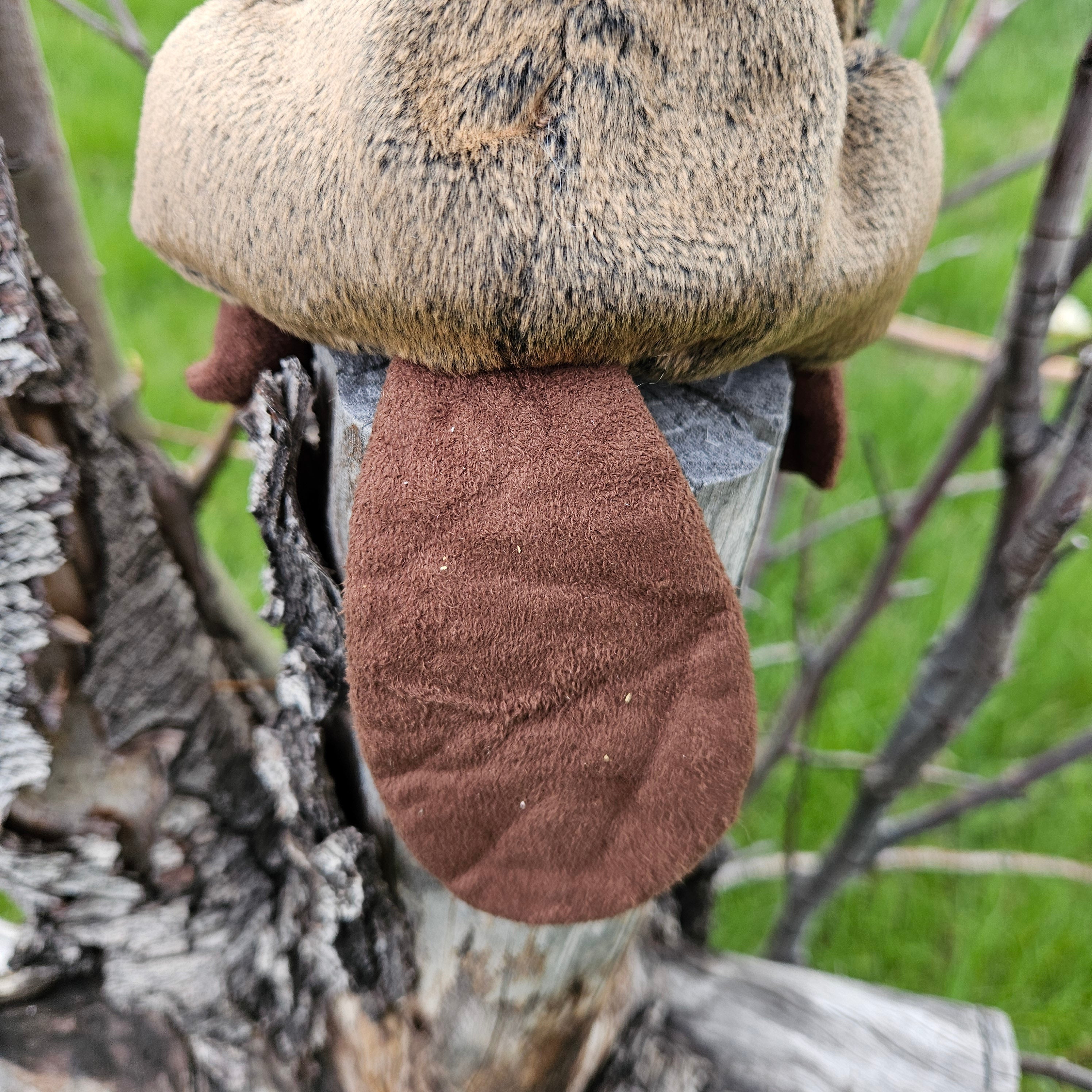 Ty Beanie Babies "Timbers the Beaver"