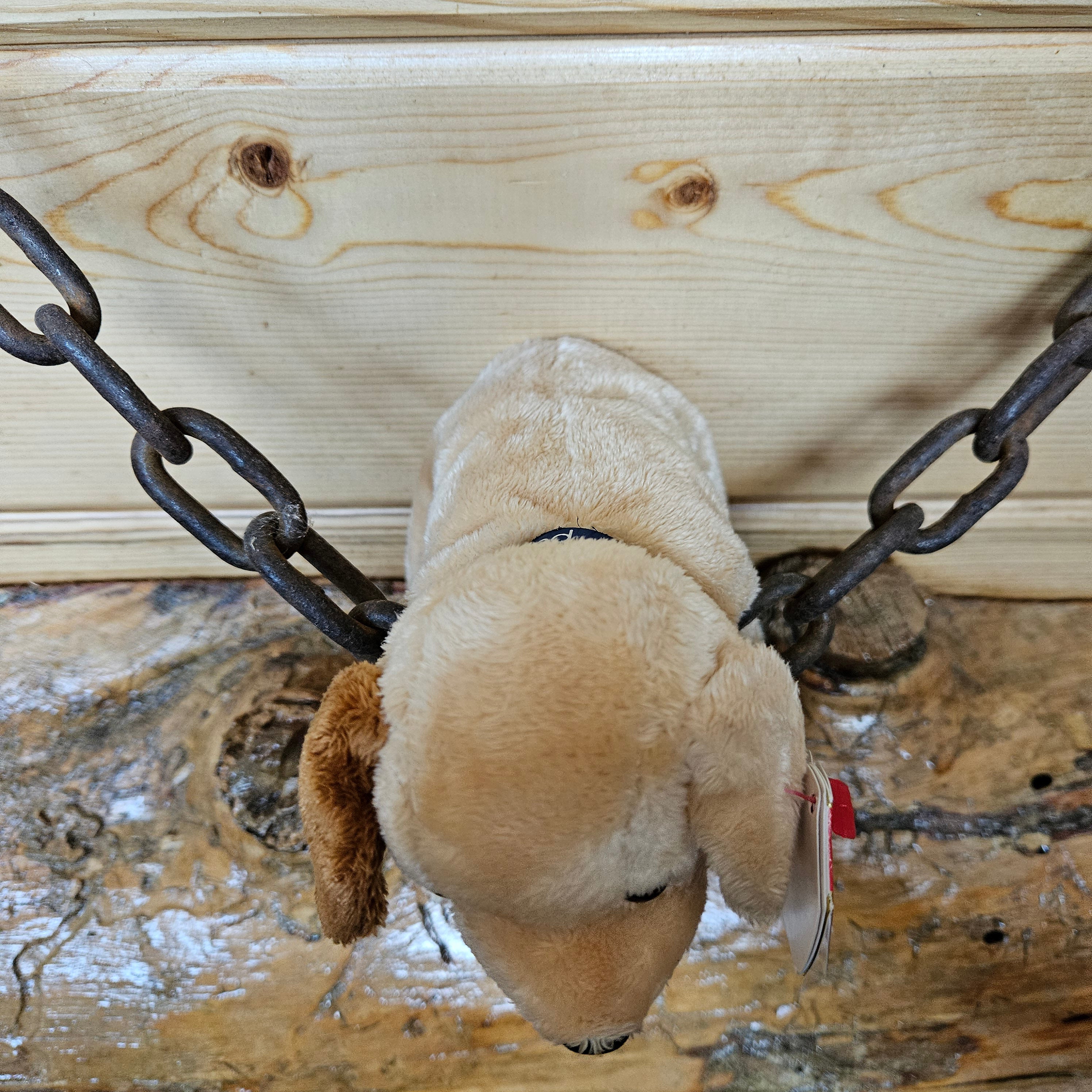 Ty Beanie Babies "Pads the Dog"