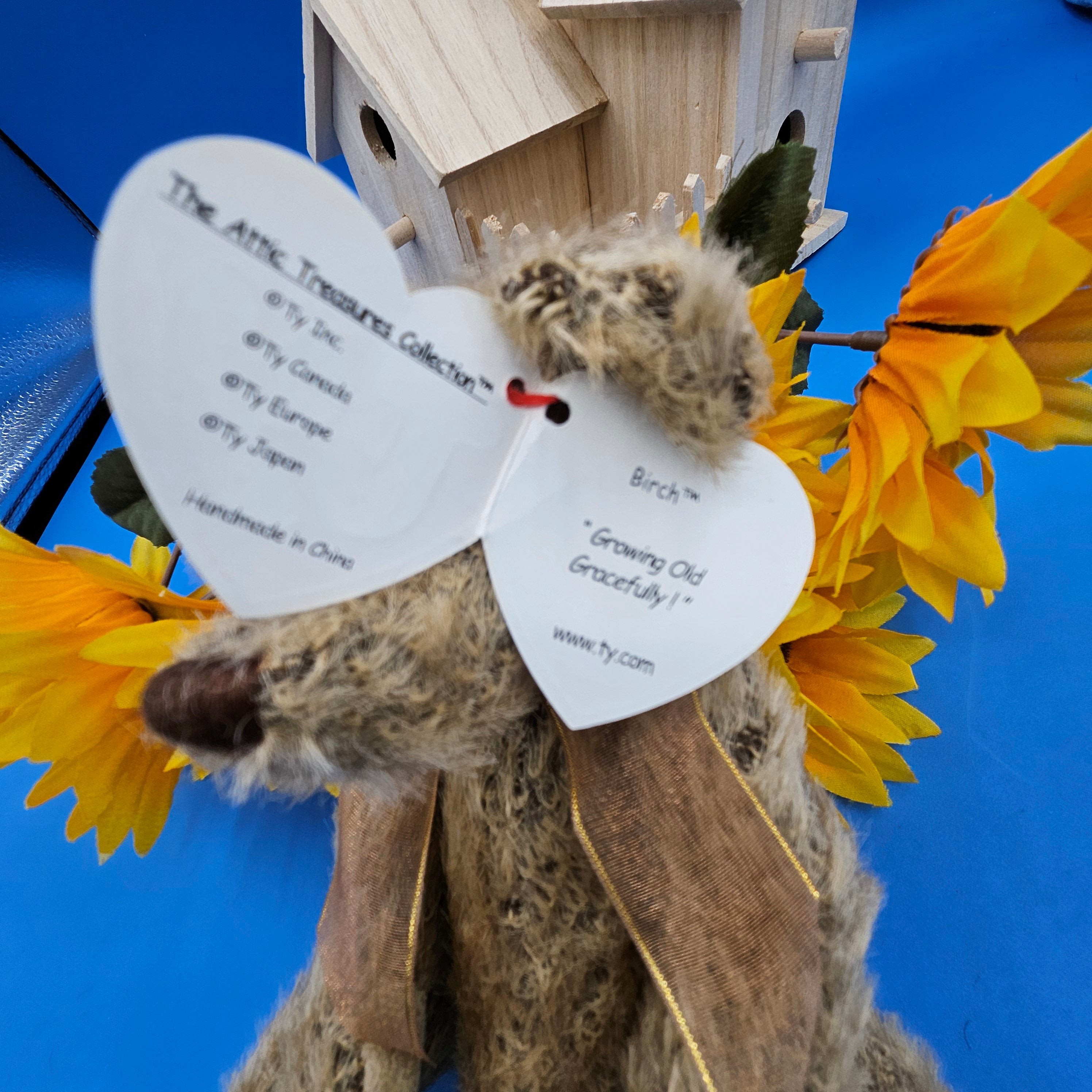Ty Beanie Babies Birch the Bear "Growing Old Gracefully"