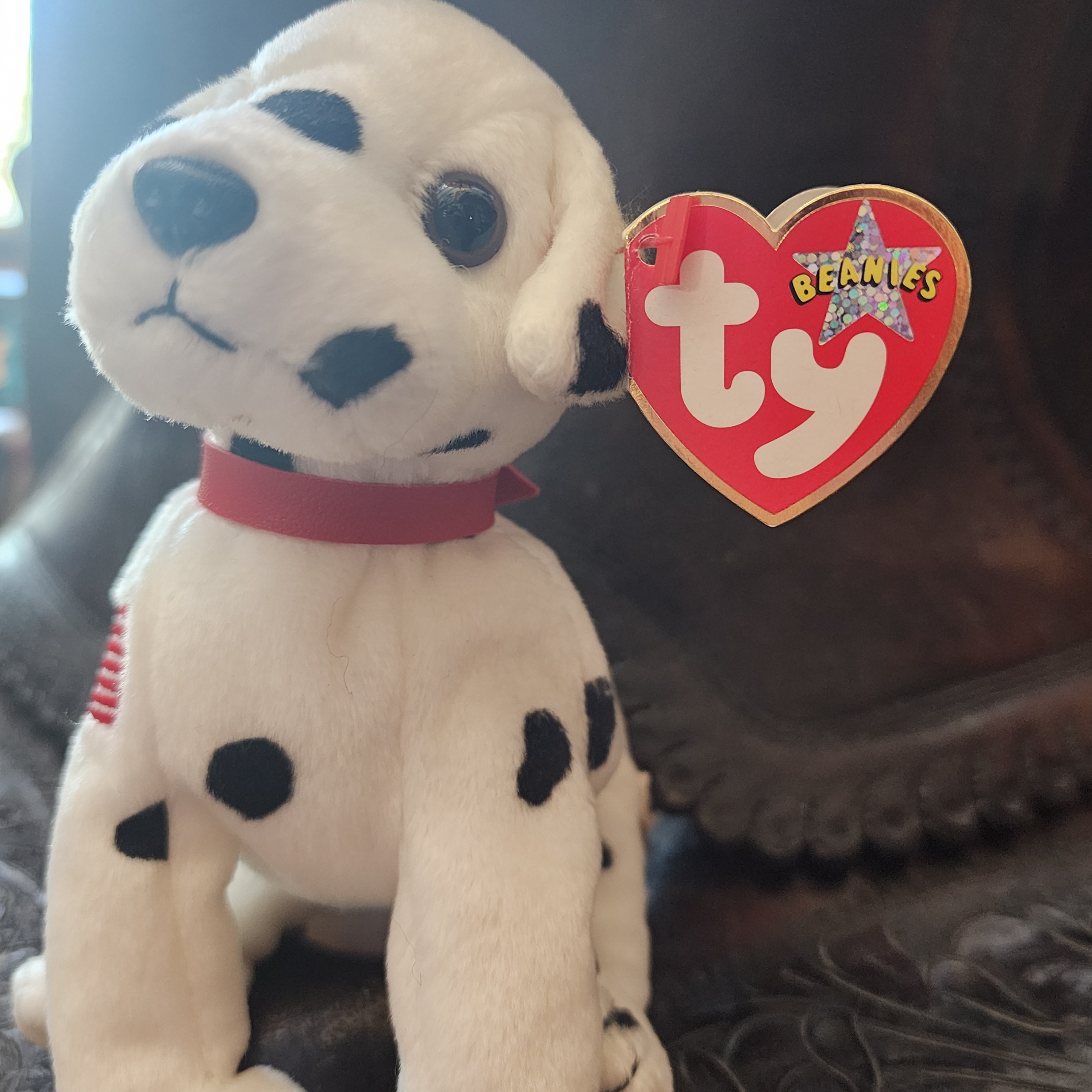 Ty Beanie Babies "Rescue the Dog"