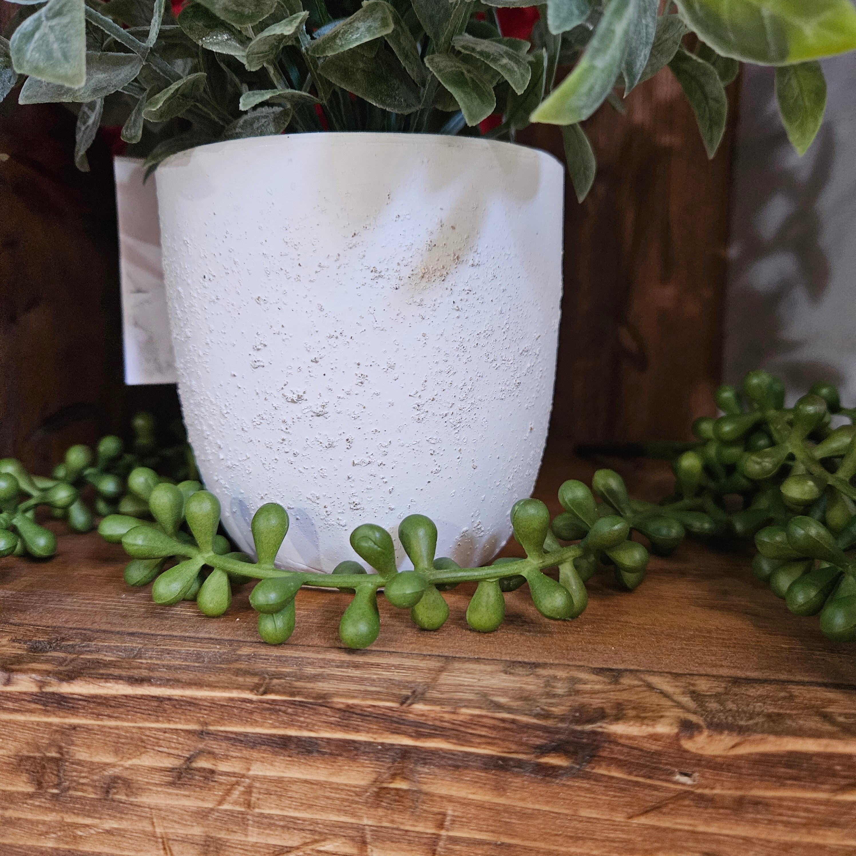 Faux Powdered Tea Leaf Plant in a White Washed Terracotta Pot