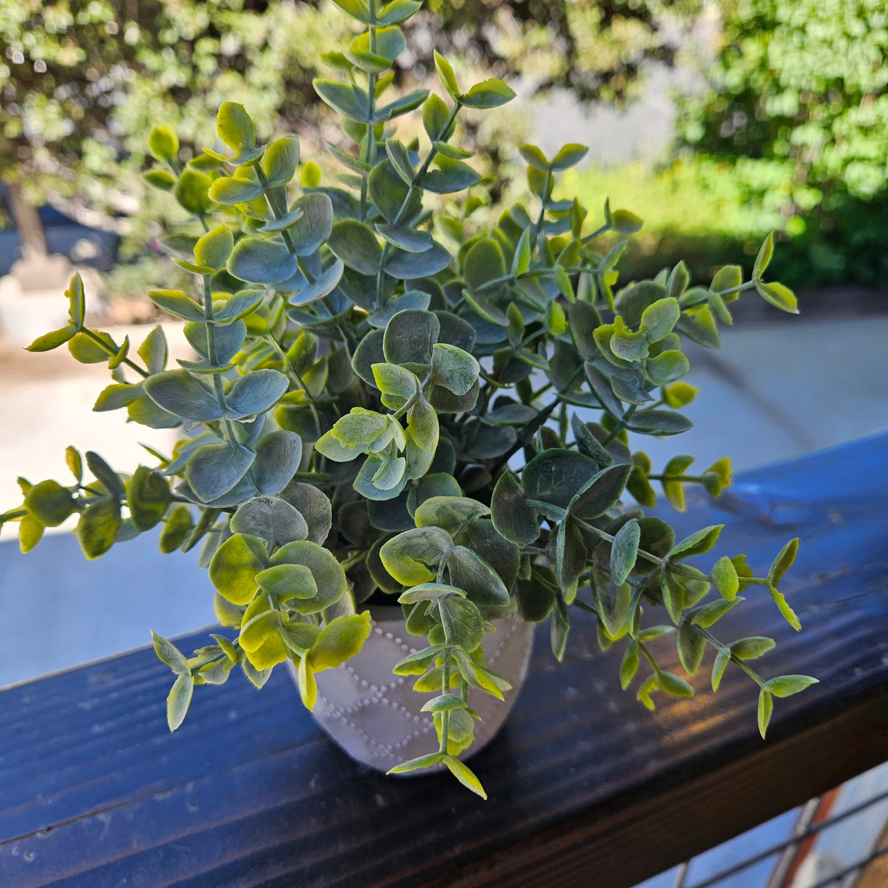 Faux Powdered Euc Plant in a Quatrefoil Design Cement Pot
