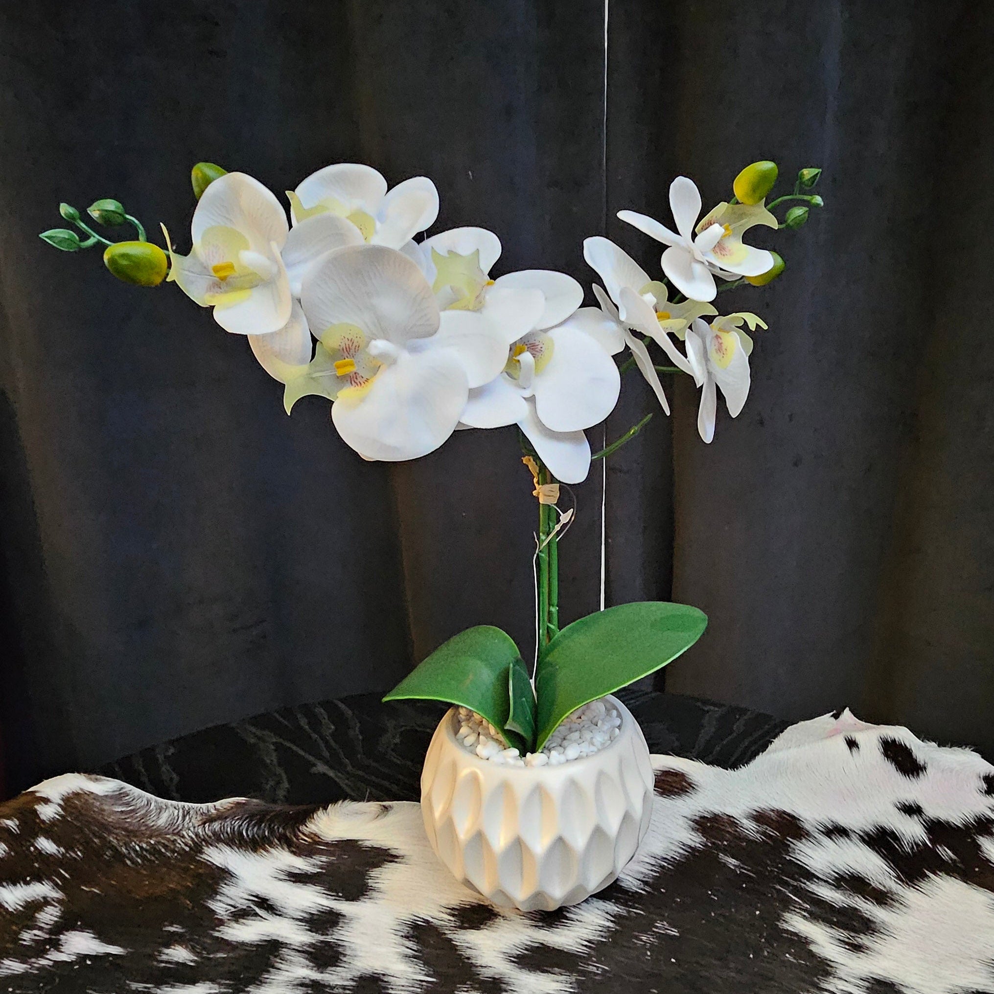 Artificial White Phalaenopsis Orchid in a White Ceramic Pot