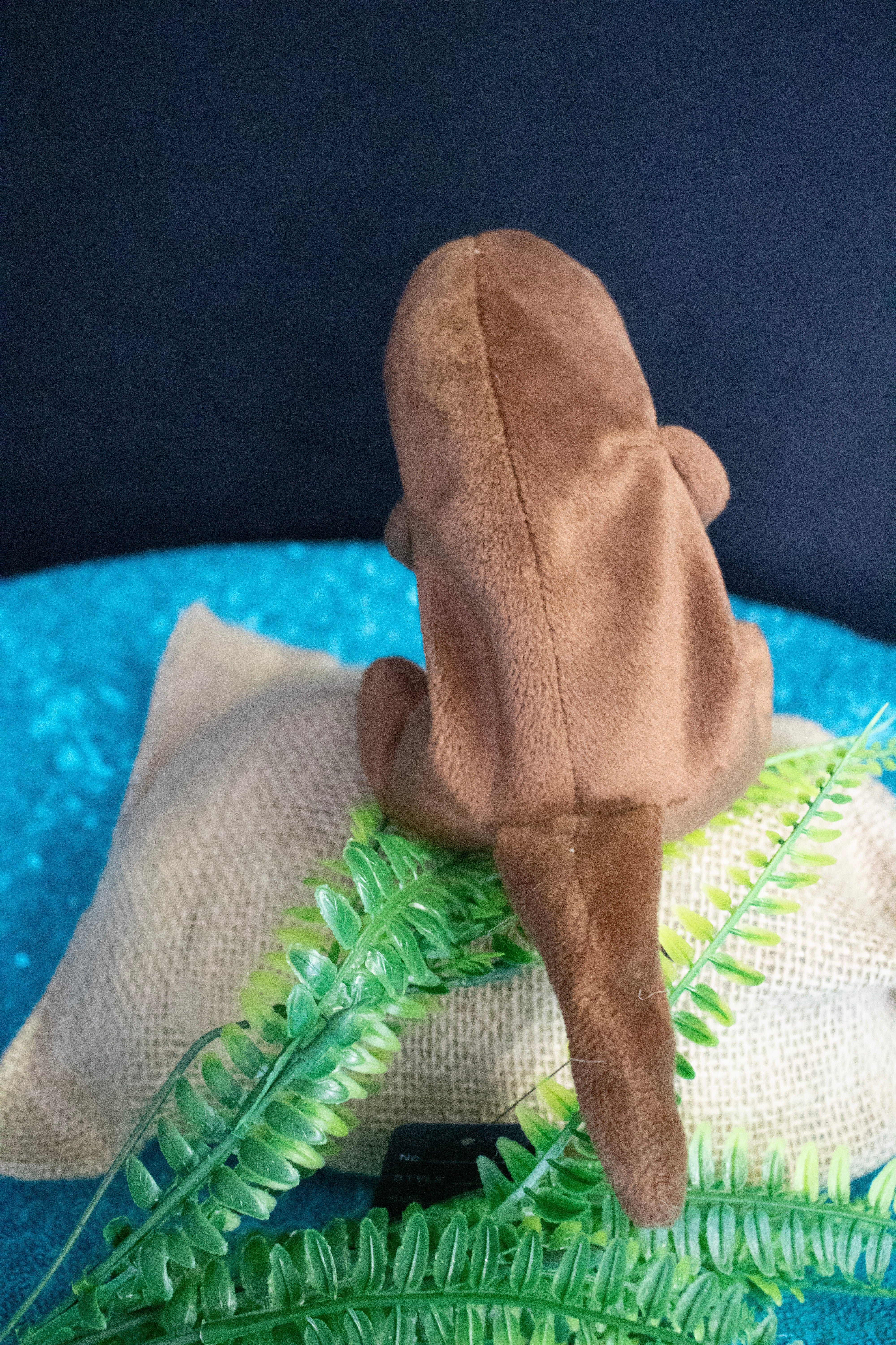 Vintage 1996 Ty Beanie Baby Seaweed the Otter without tag