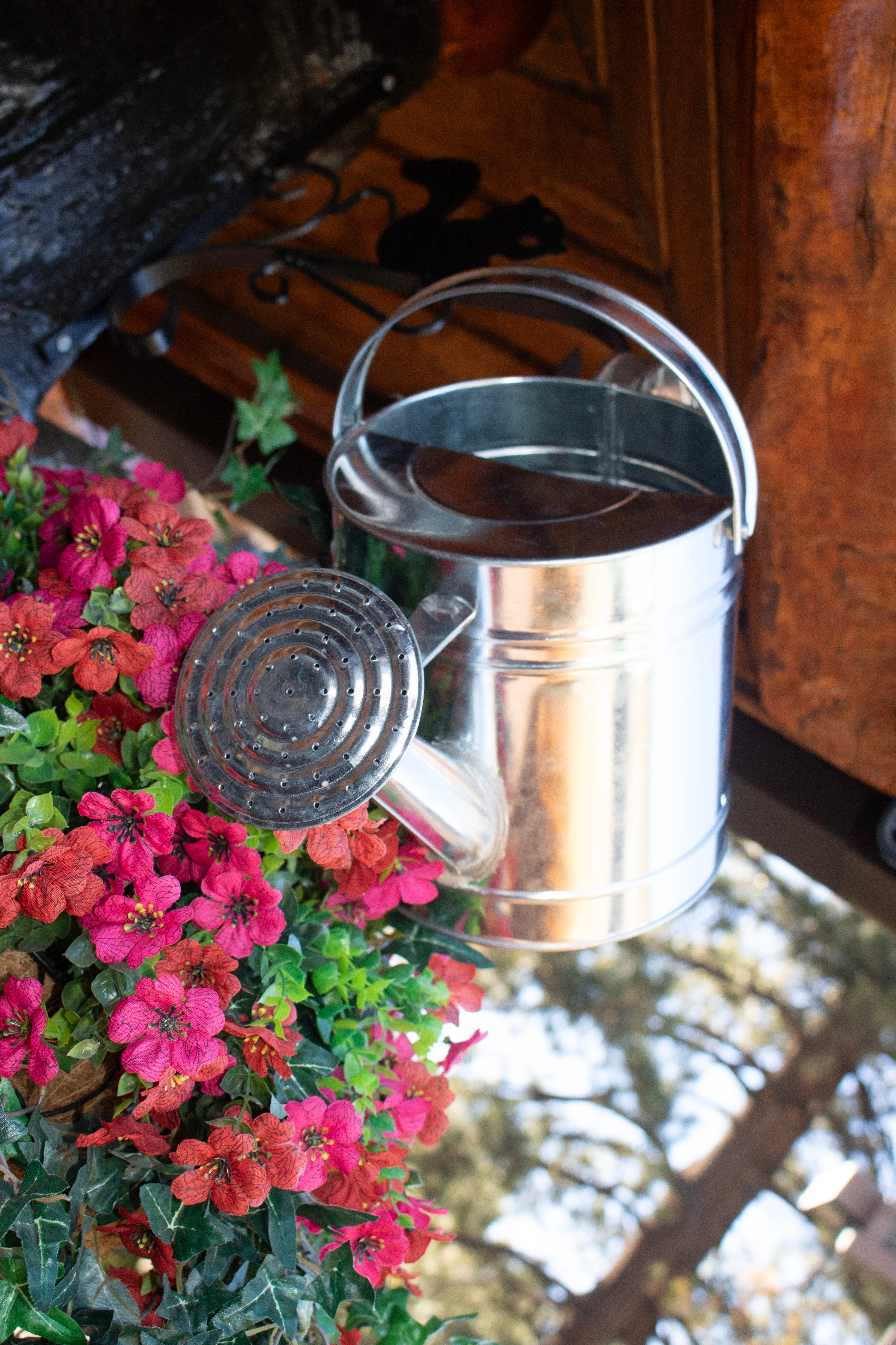 Galvanized Steel Watering Can 152 Oz
