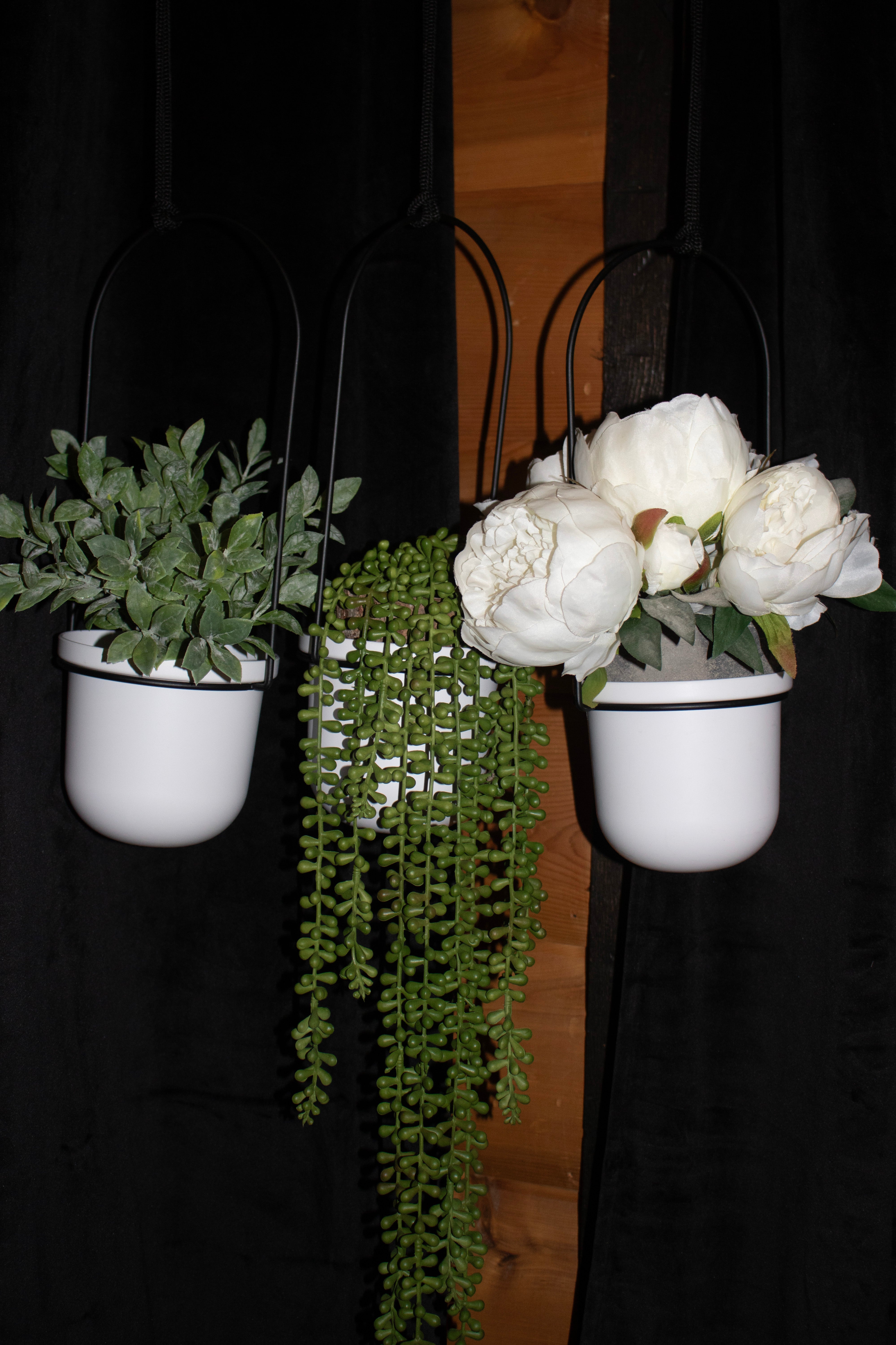 Umbra Triflora Hanging Planter for Window, Indoor Herb Garden, Set of 3, White/Black